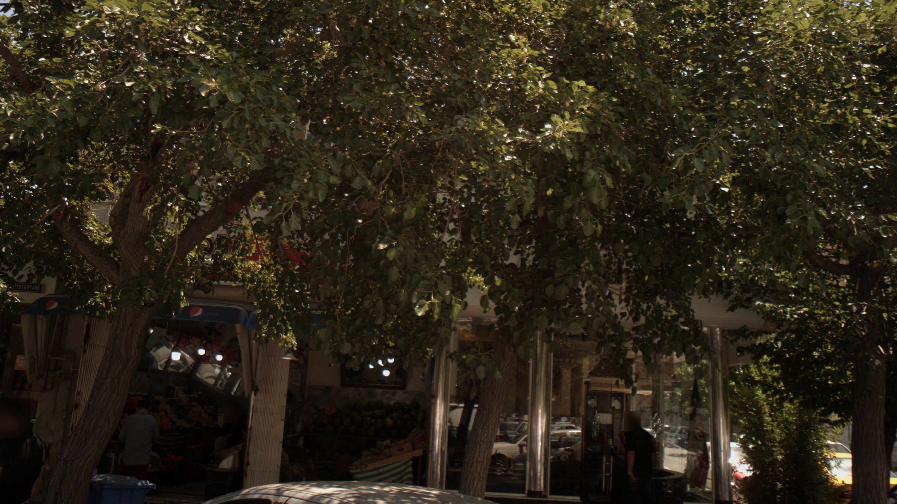 میوه فروشی