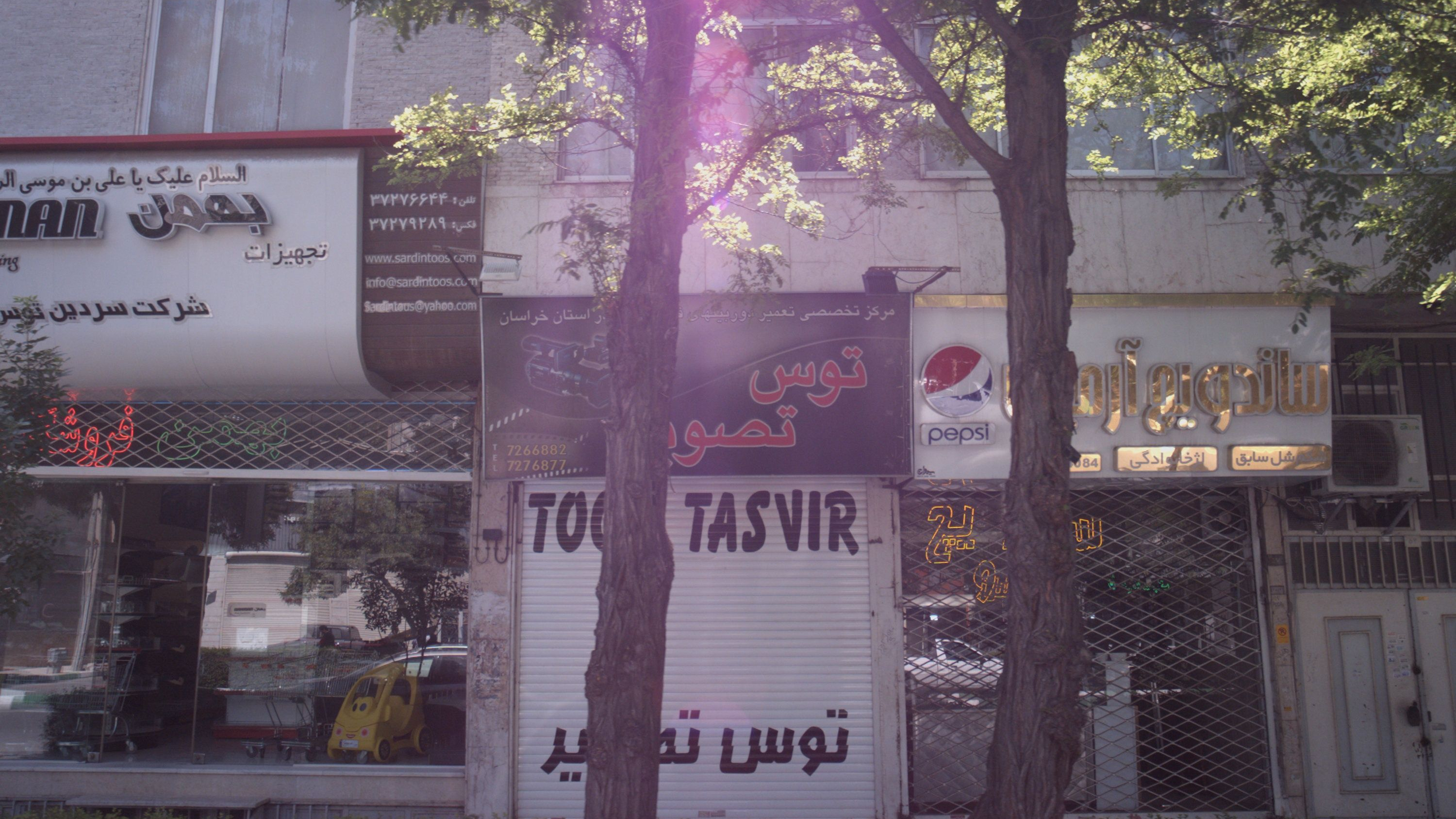 توس تصویر