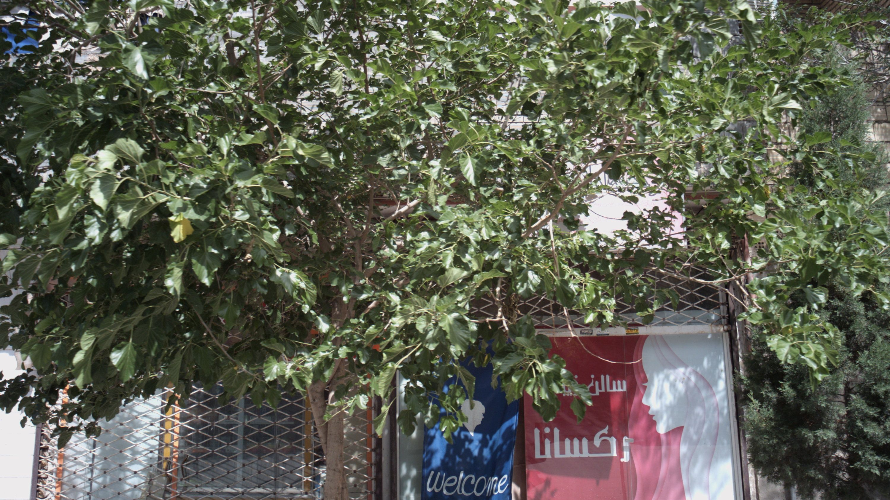 سالن زیبایی رکسانا