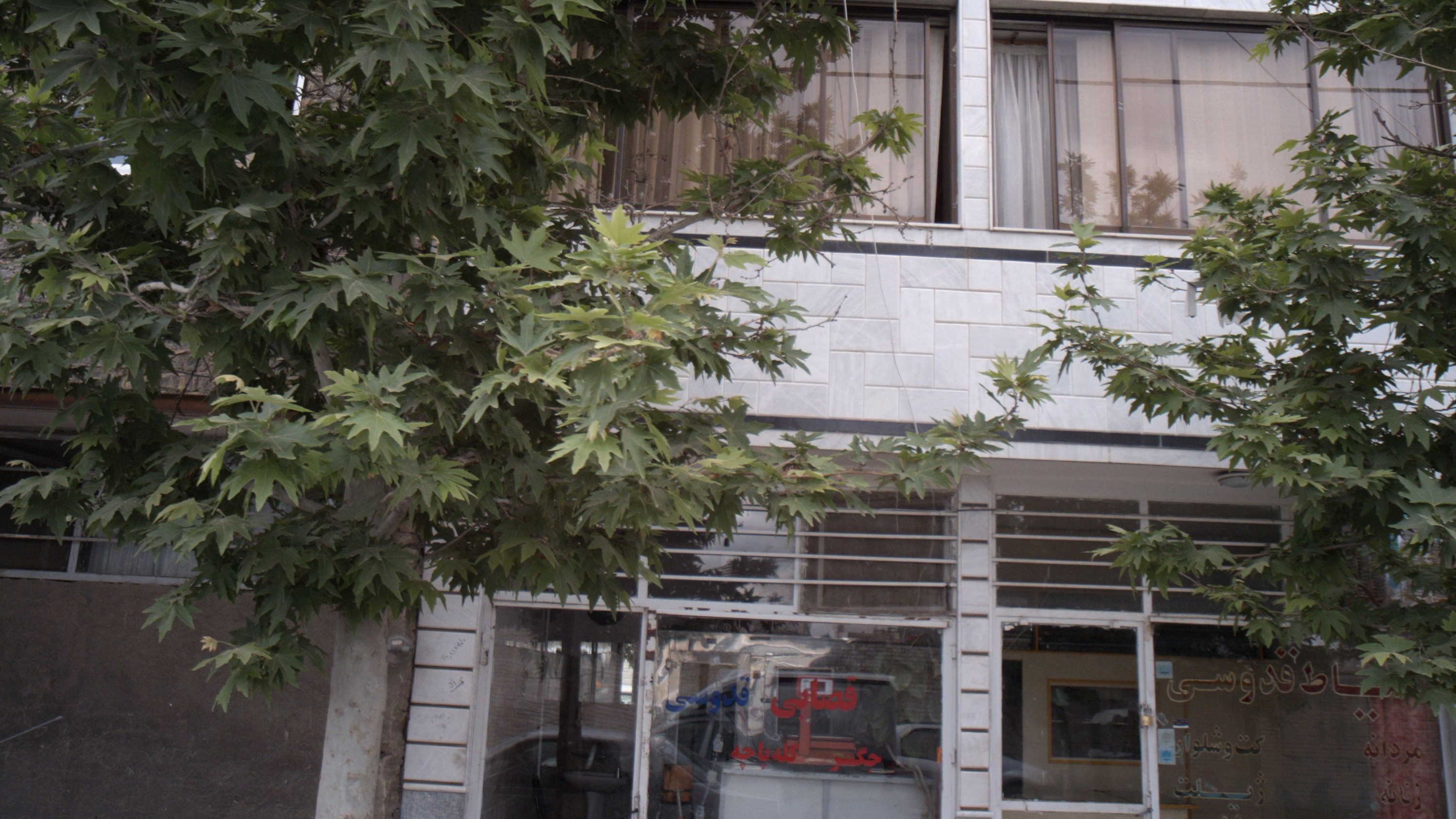 خیاط قدوسی