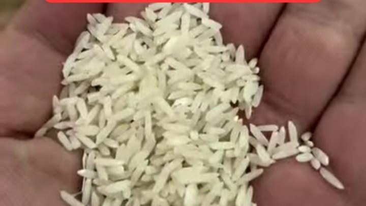 پخش شاه برنج