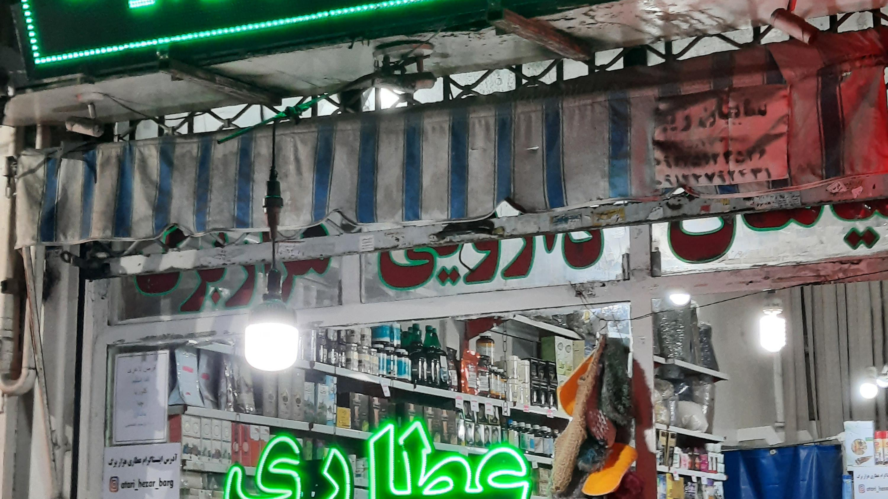 گیاهان دارویی هزار برگ