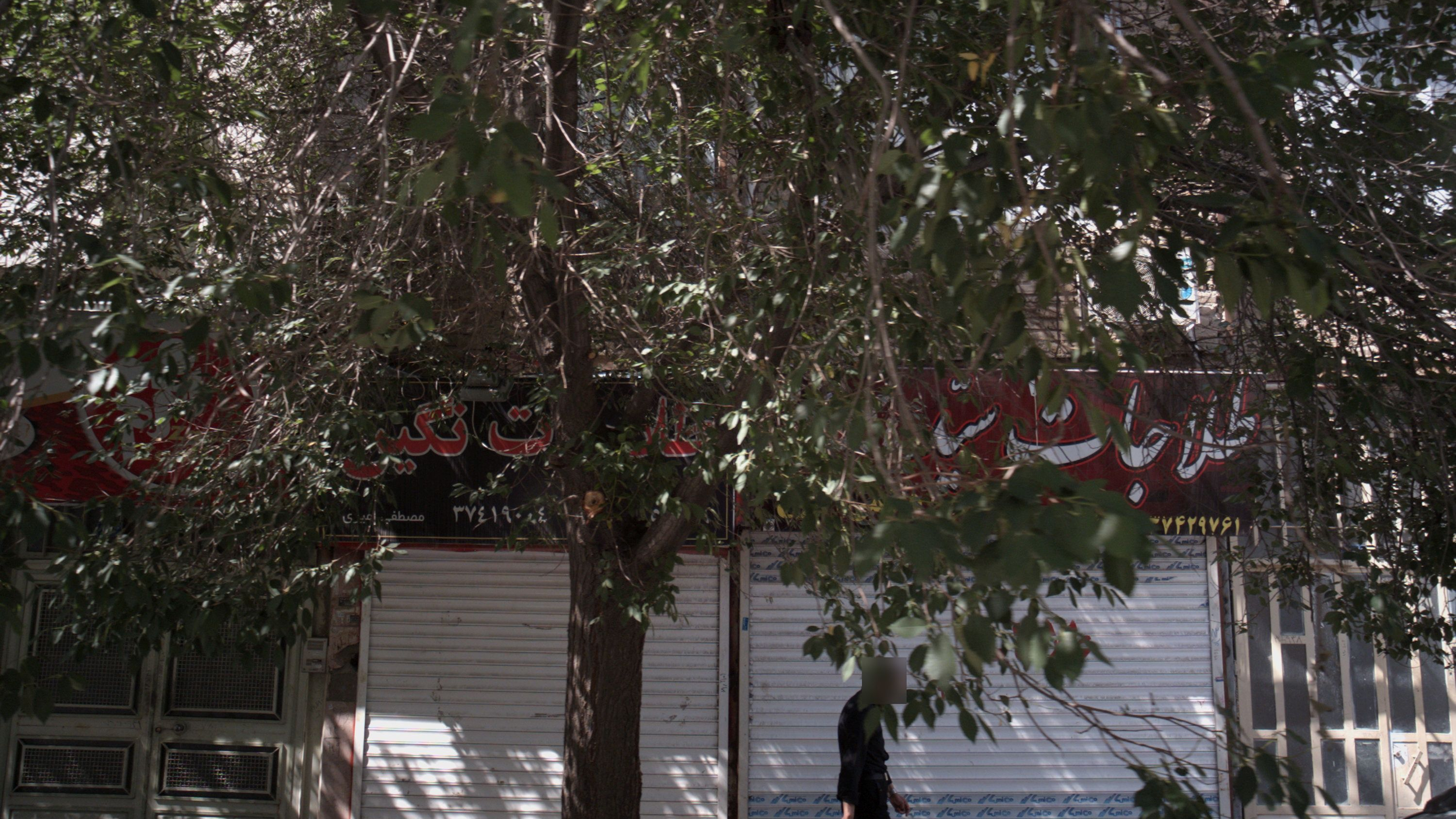 طلاجات نگین