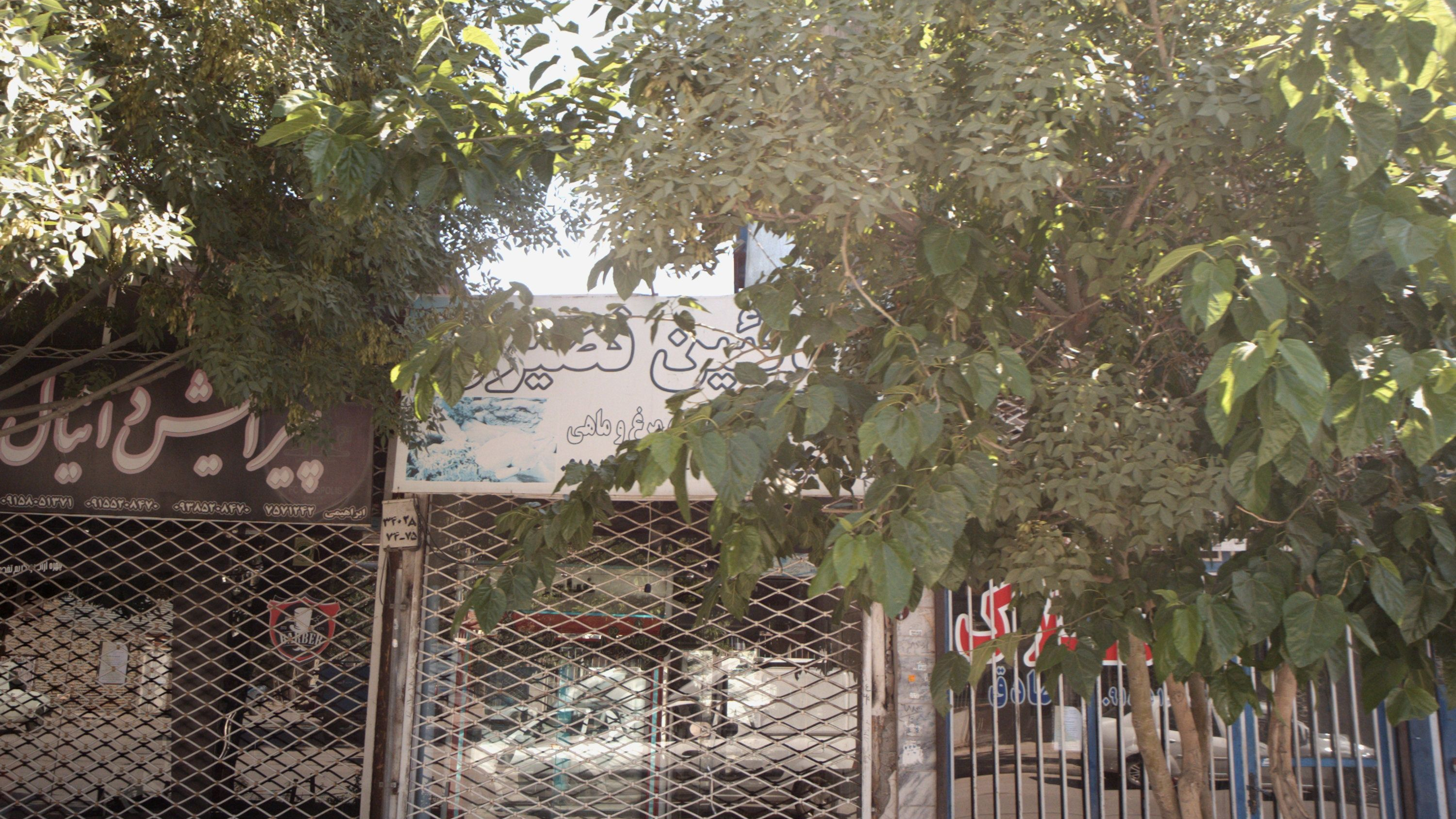 پیرایش دانیال