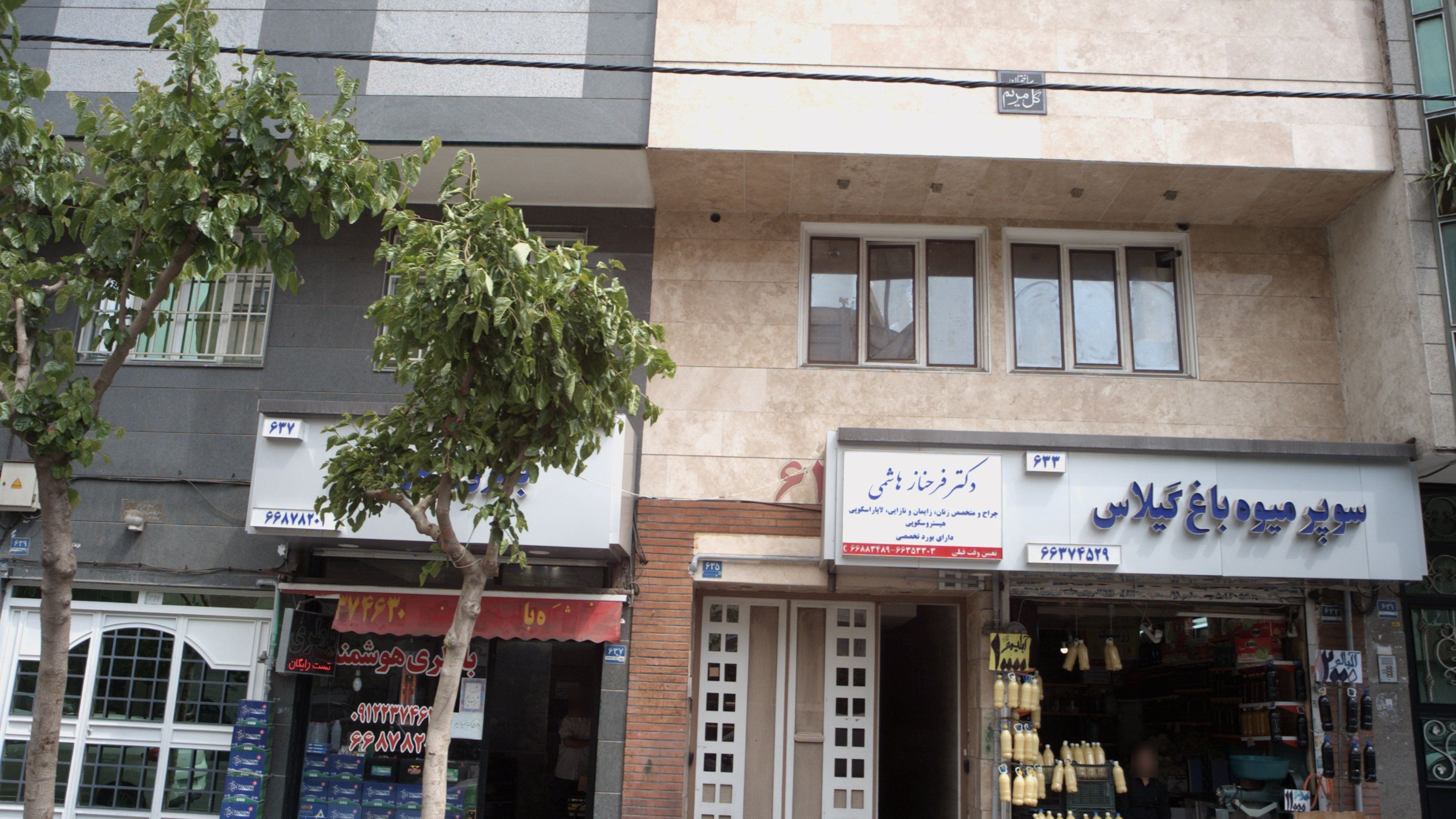 دکتر فرحناز هاشمی