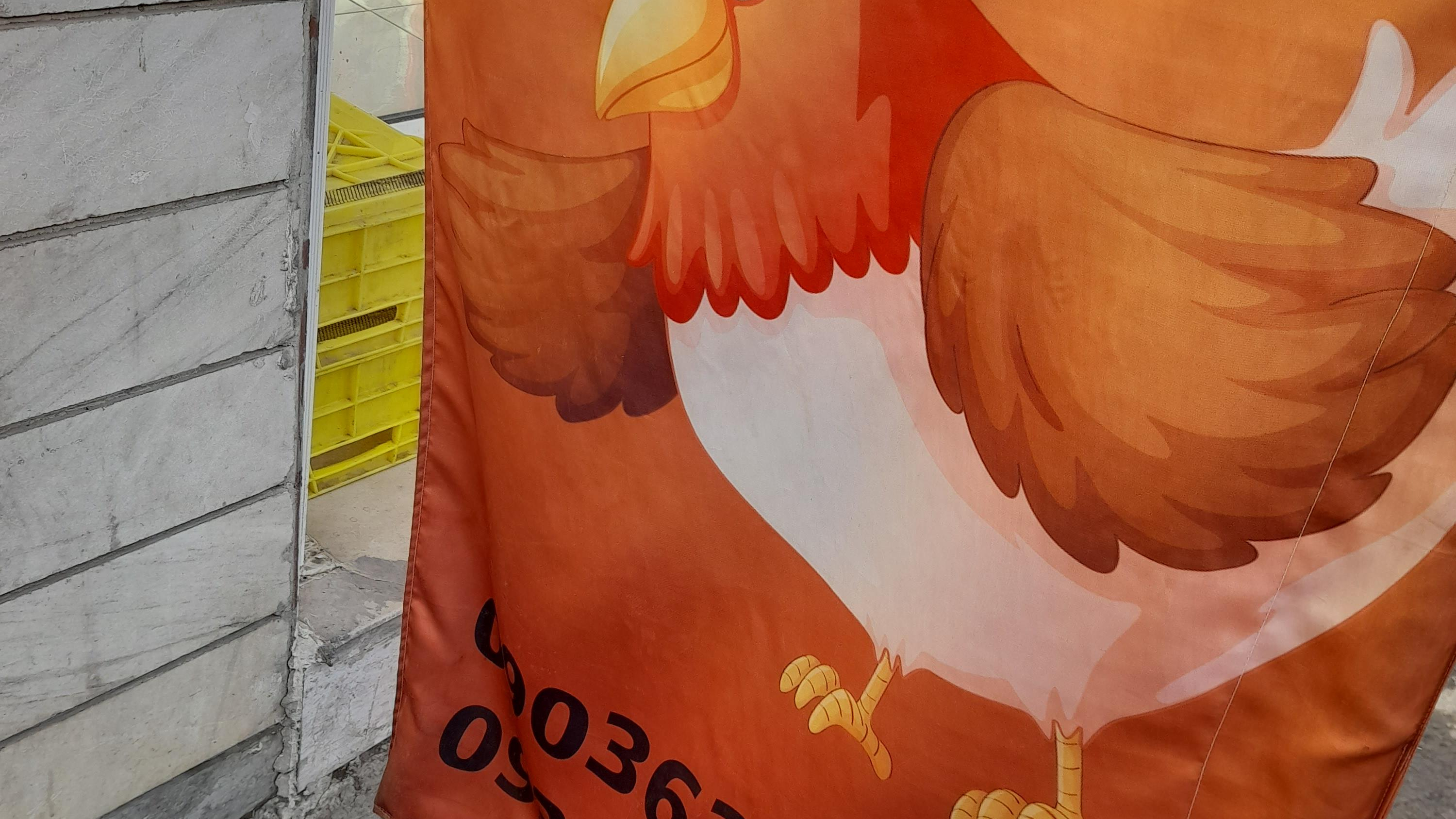 مرغ فروشی پدر