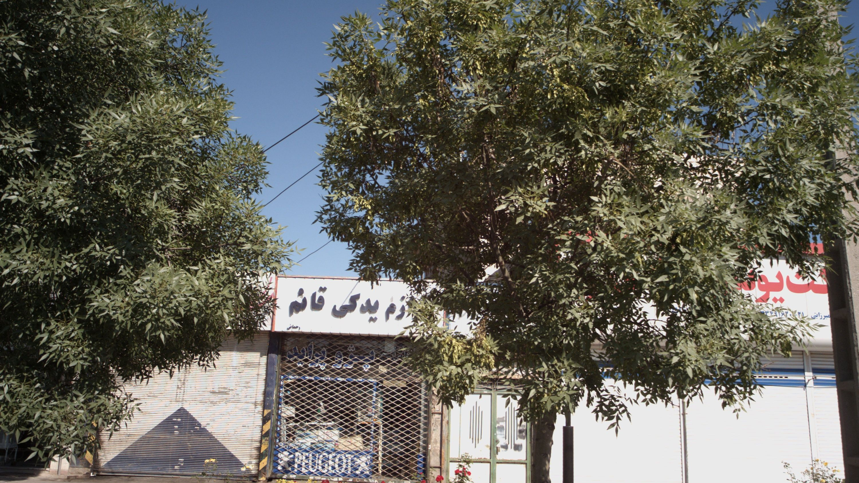 لوازم یدکی قائم