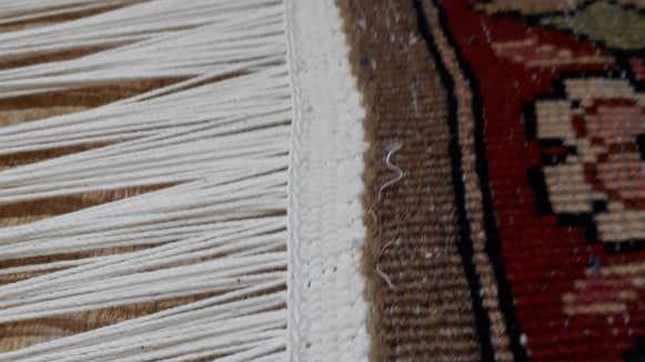 قالیشویی و رفوگری ساقدوش