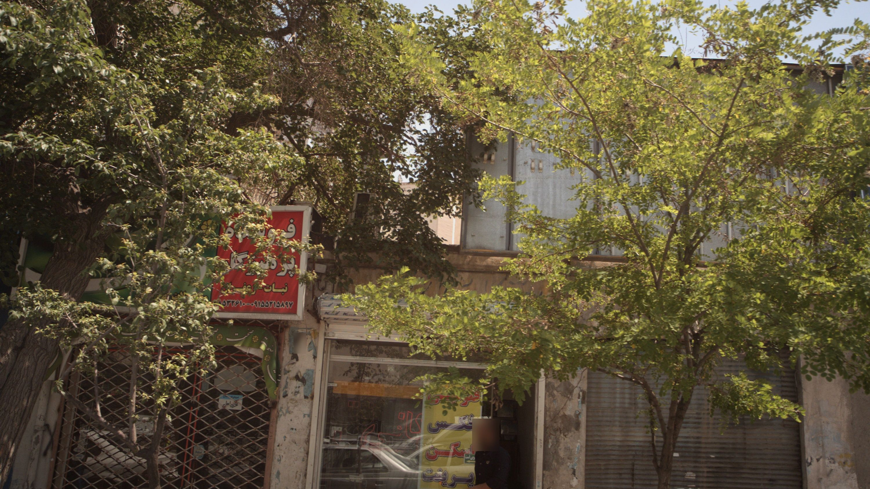 کافی نت