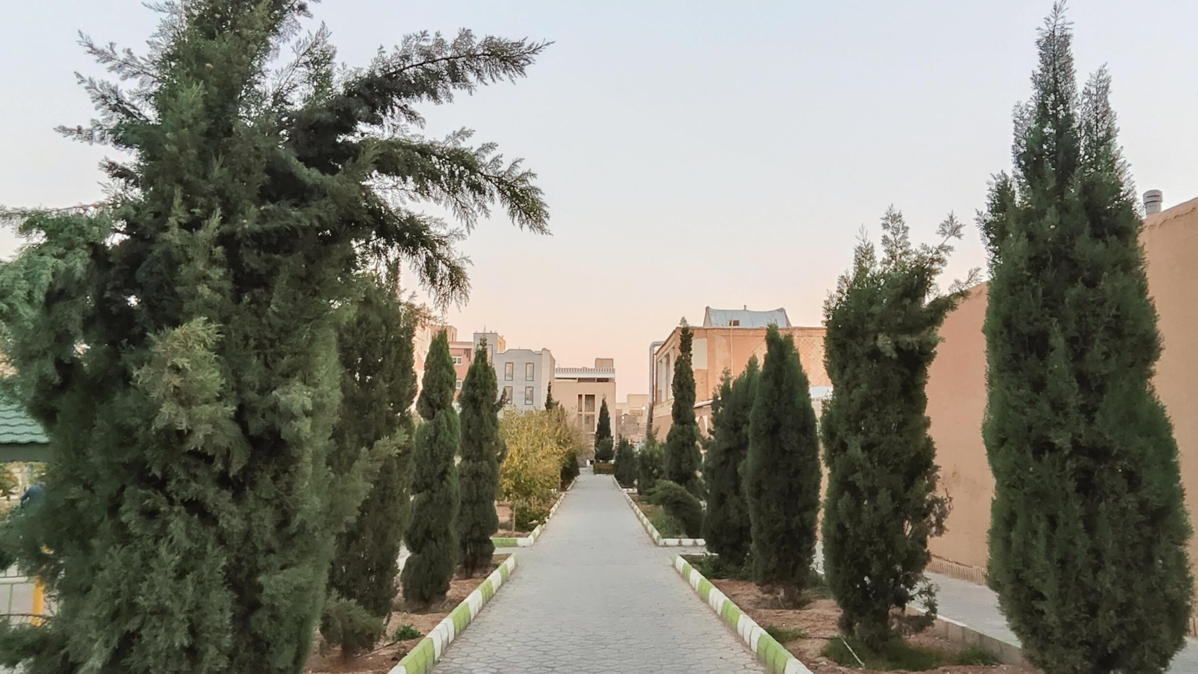 بوستان نیلوفر
