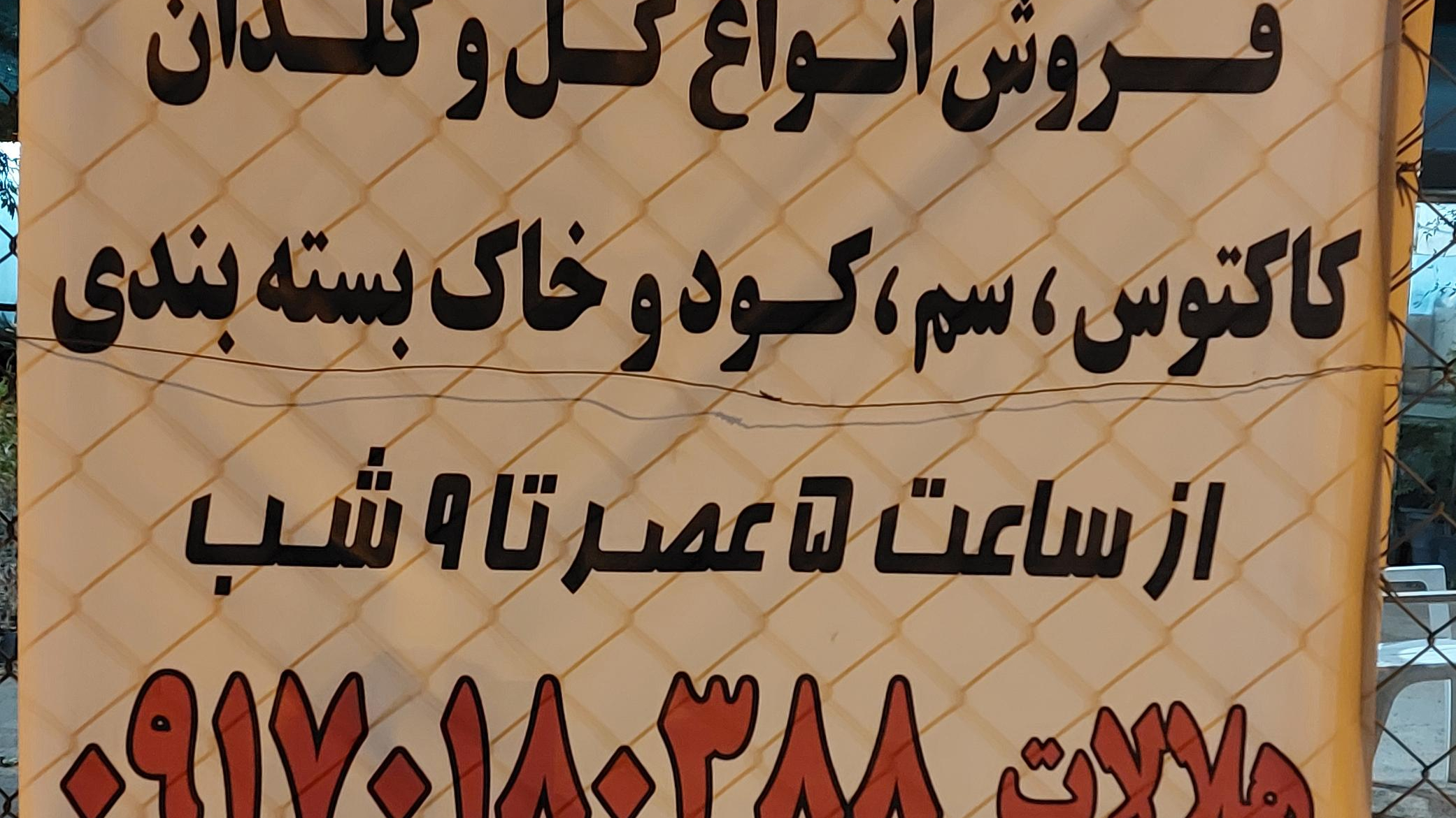 گلخانه و گیاه فروشی خرداد