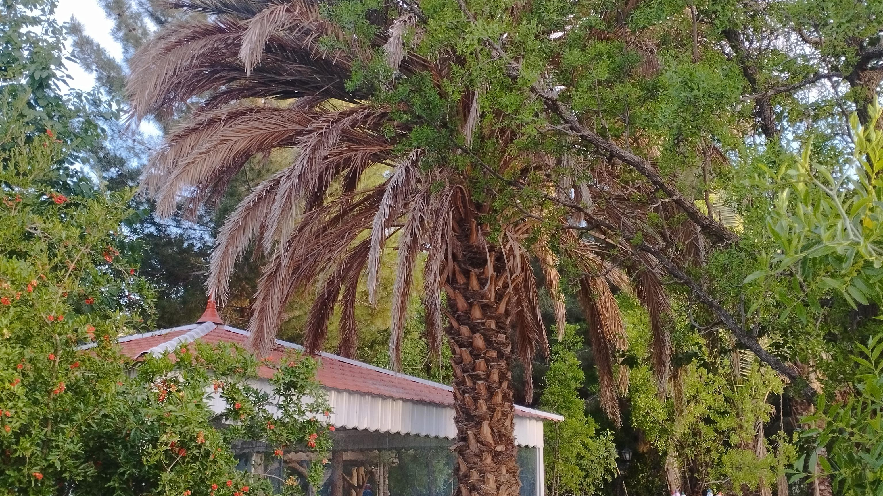 باغ خانواده