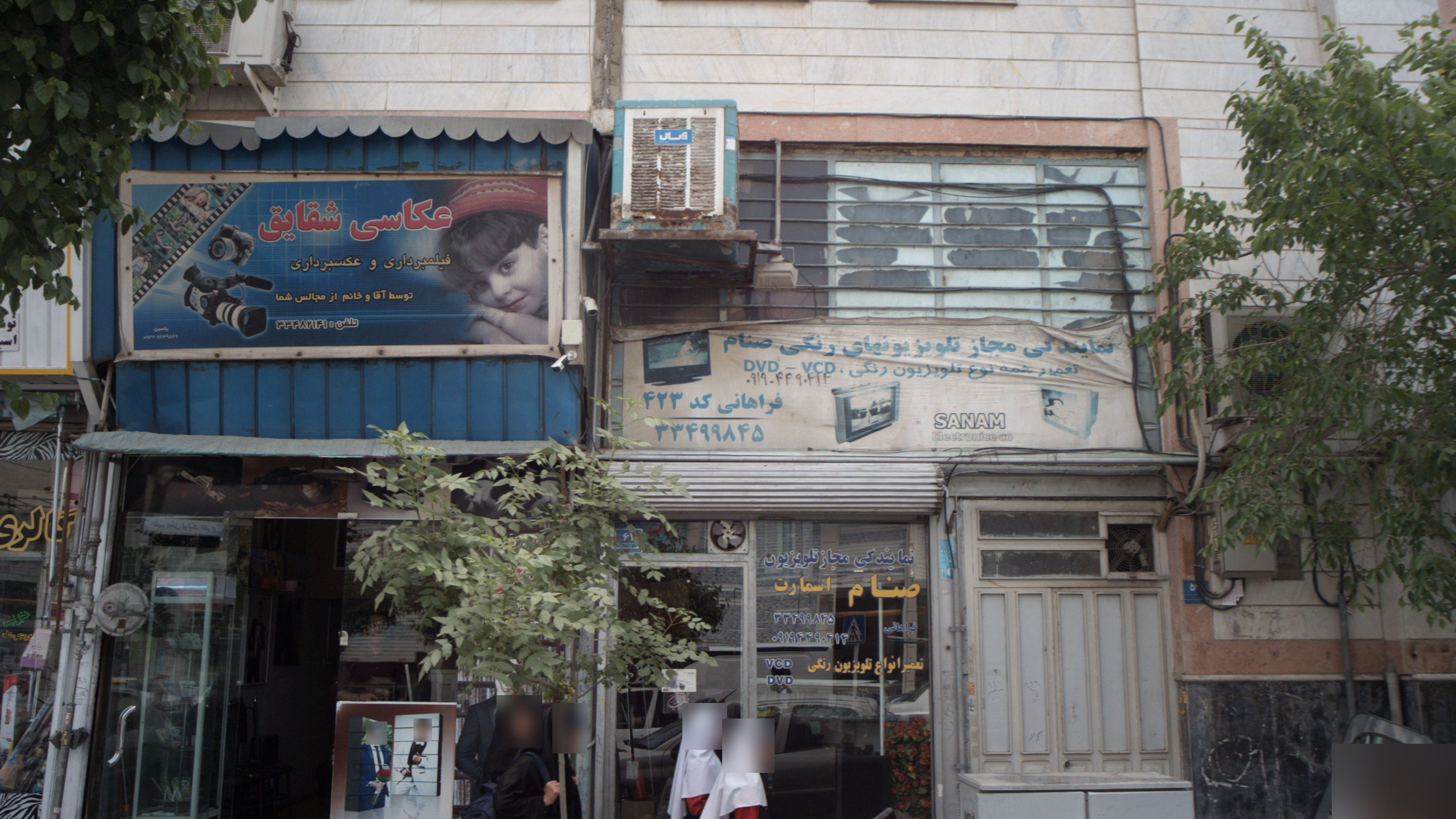 عکاسی شقایق