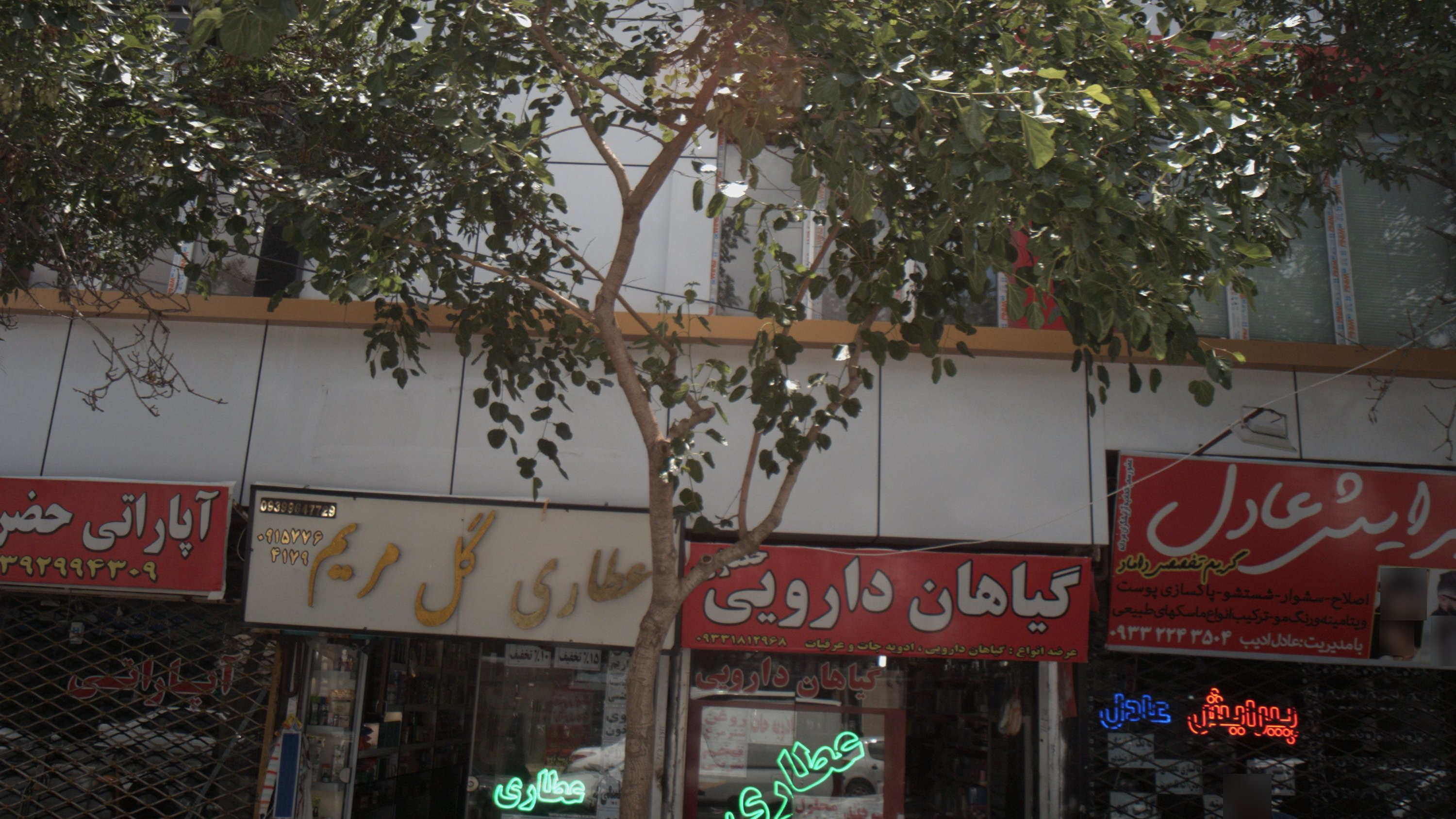 گیاهان دارویی حصاری
