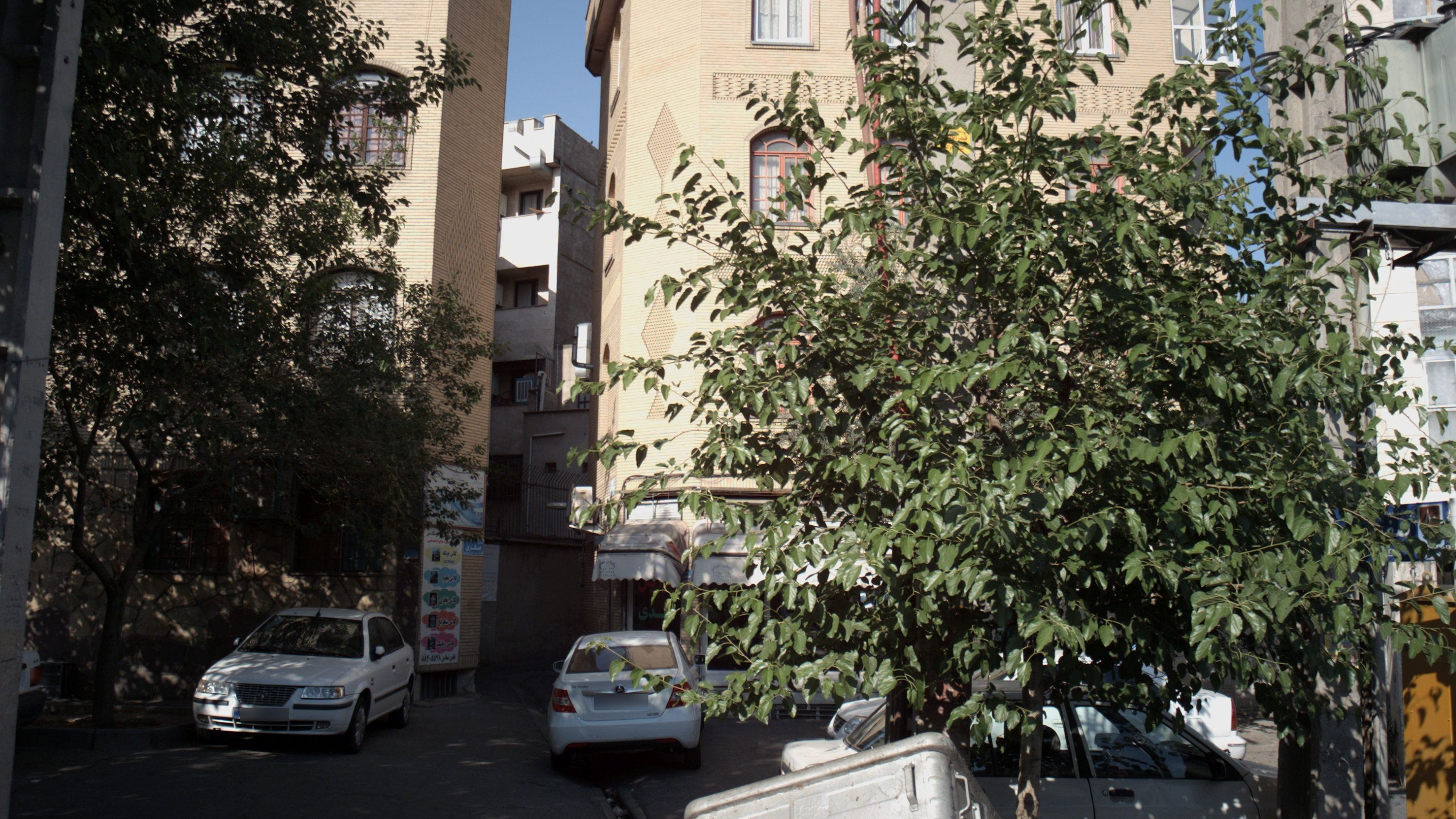 آرایشگاه مهدی