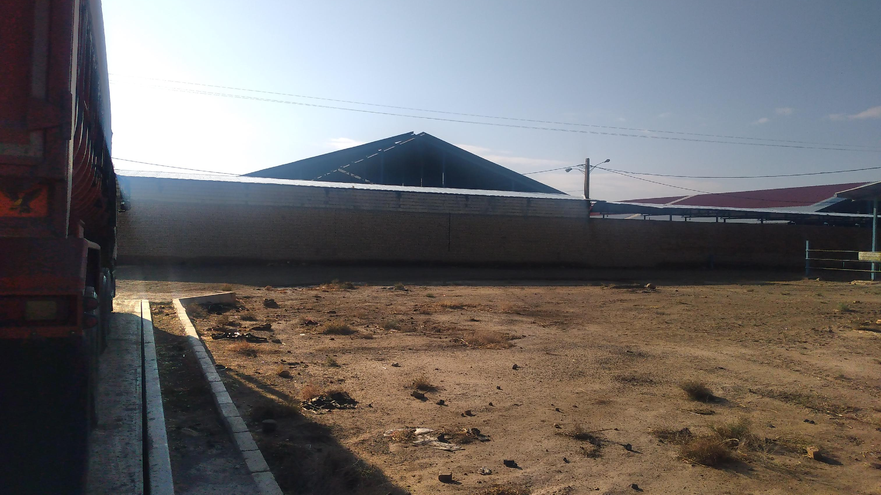 دامداری