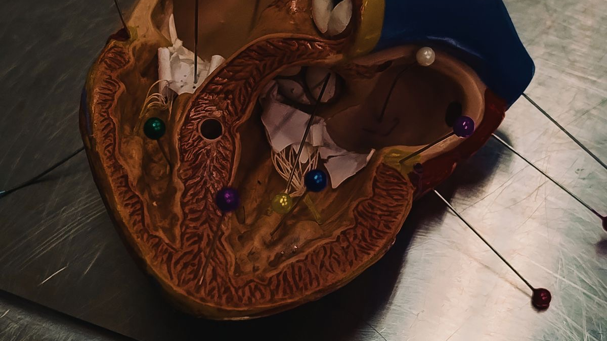 کلینیک تخصصی فلوشیپ قلب رادمان