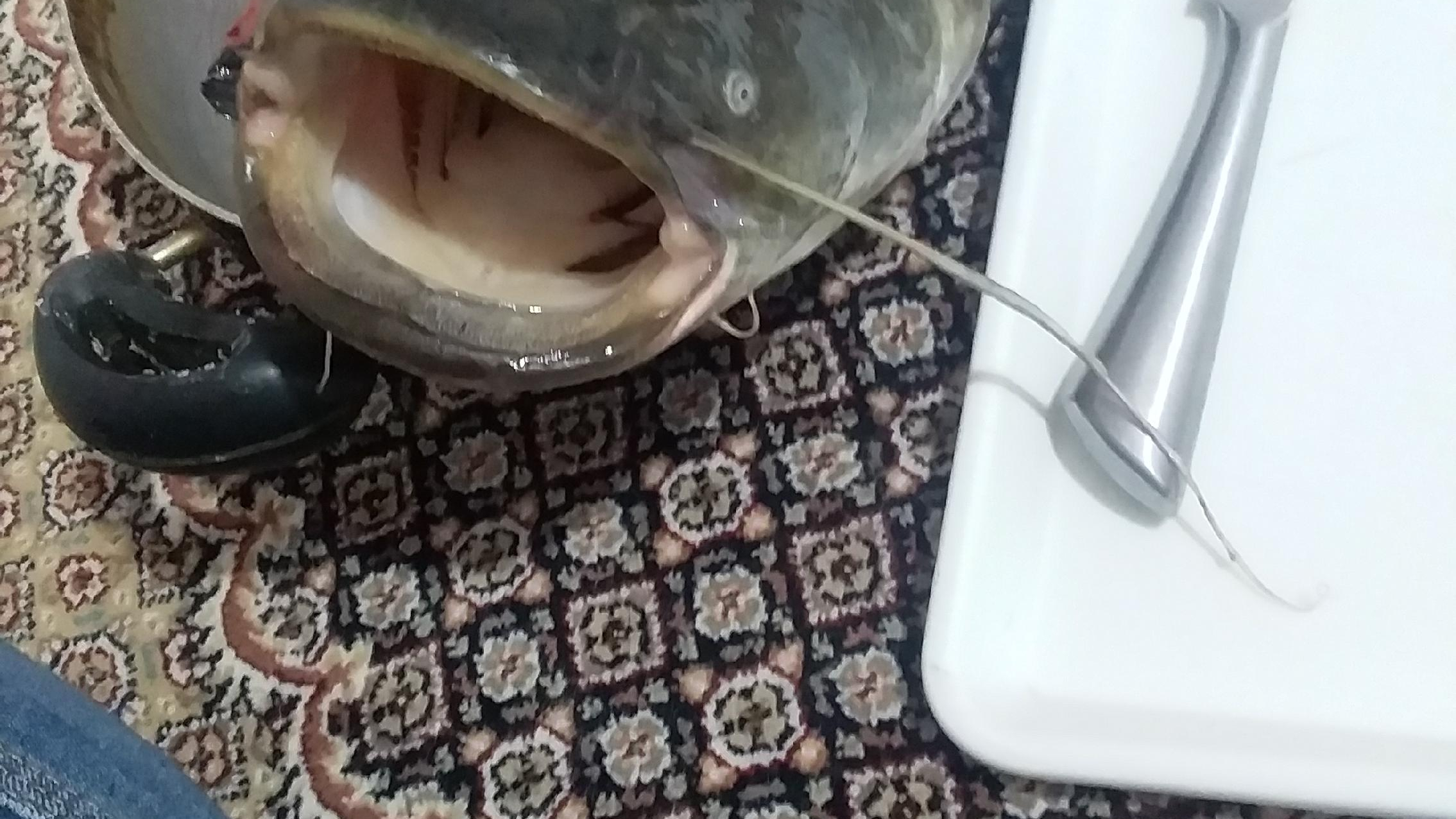 انبار بهنام اسوده