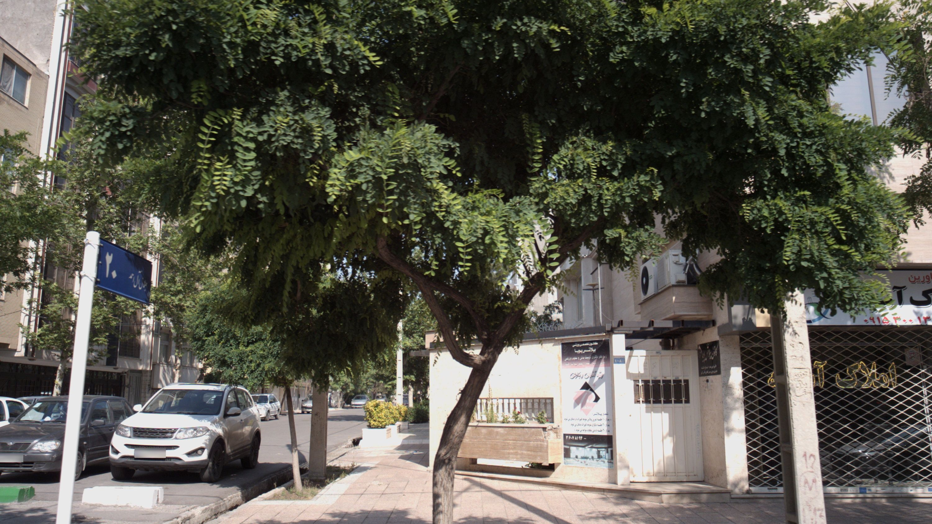 کانون پیلاتس باران _مشهد