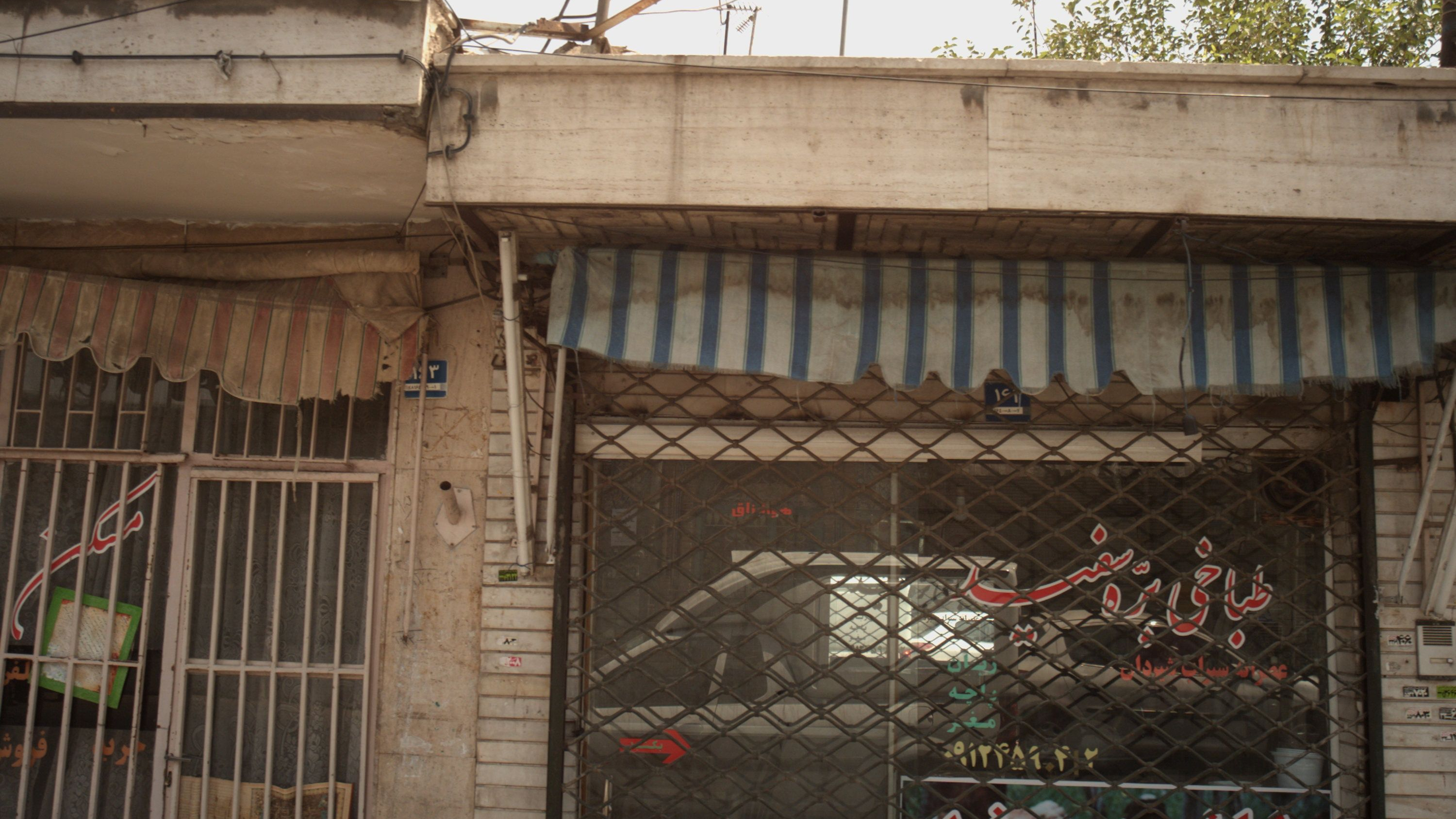 طباخی بره سفید