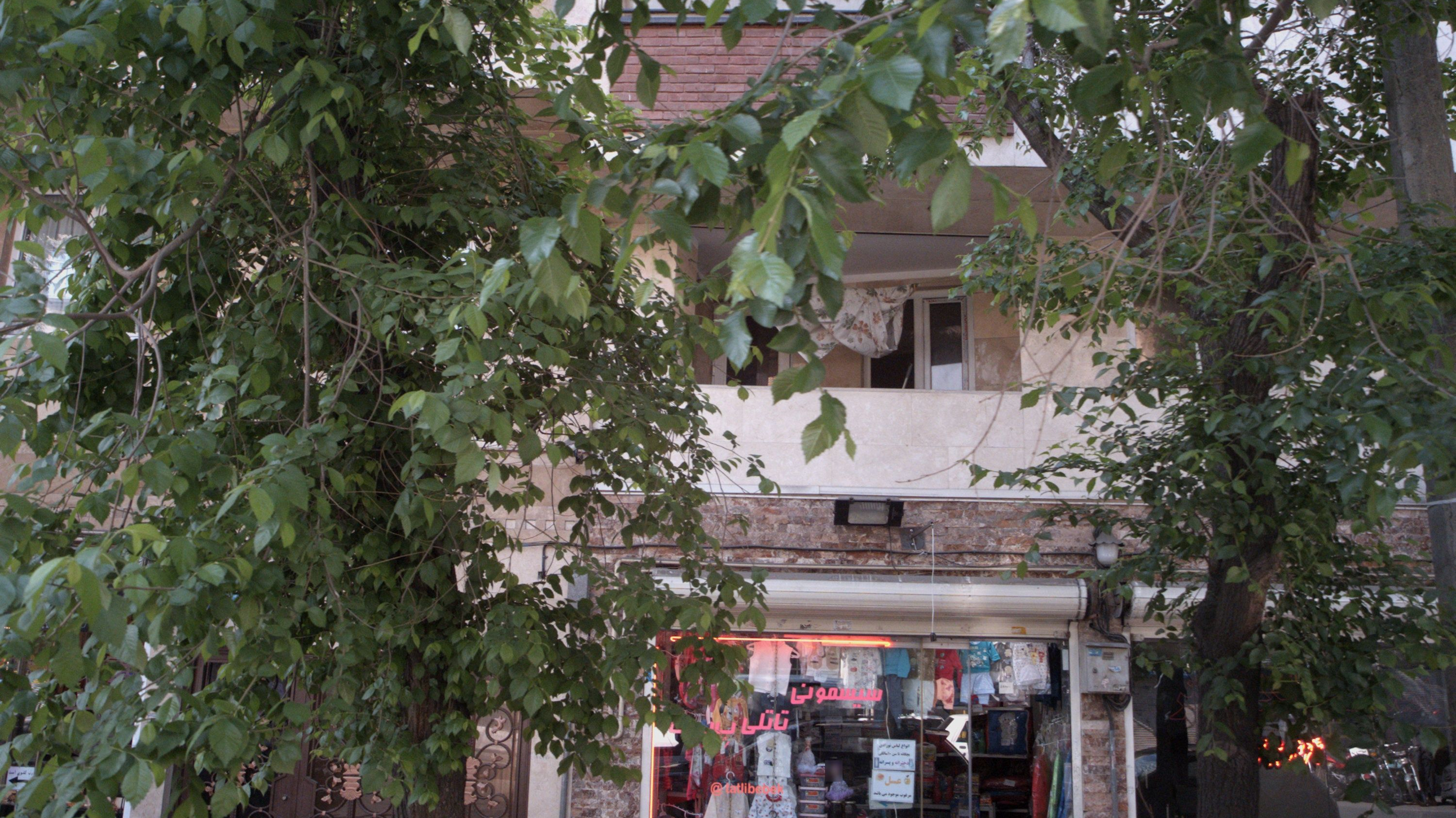 سیسمونی تاتلی ببک