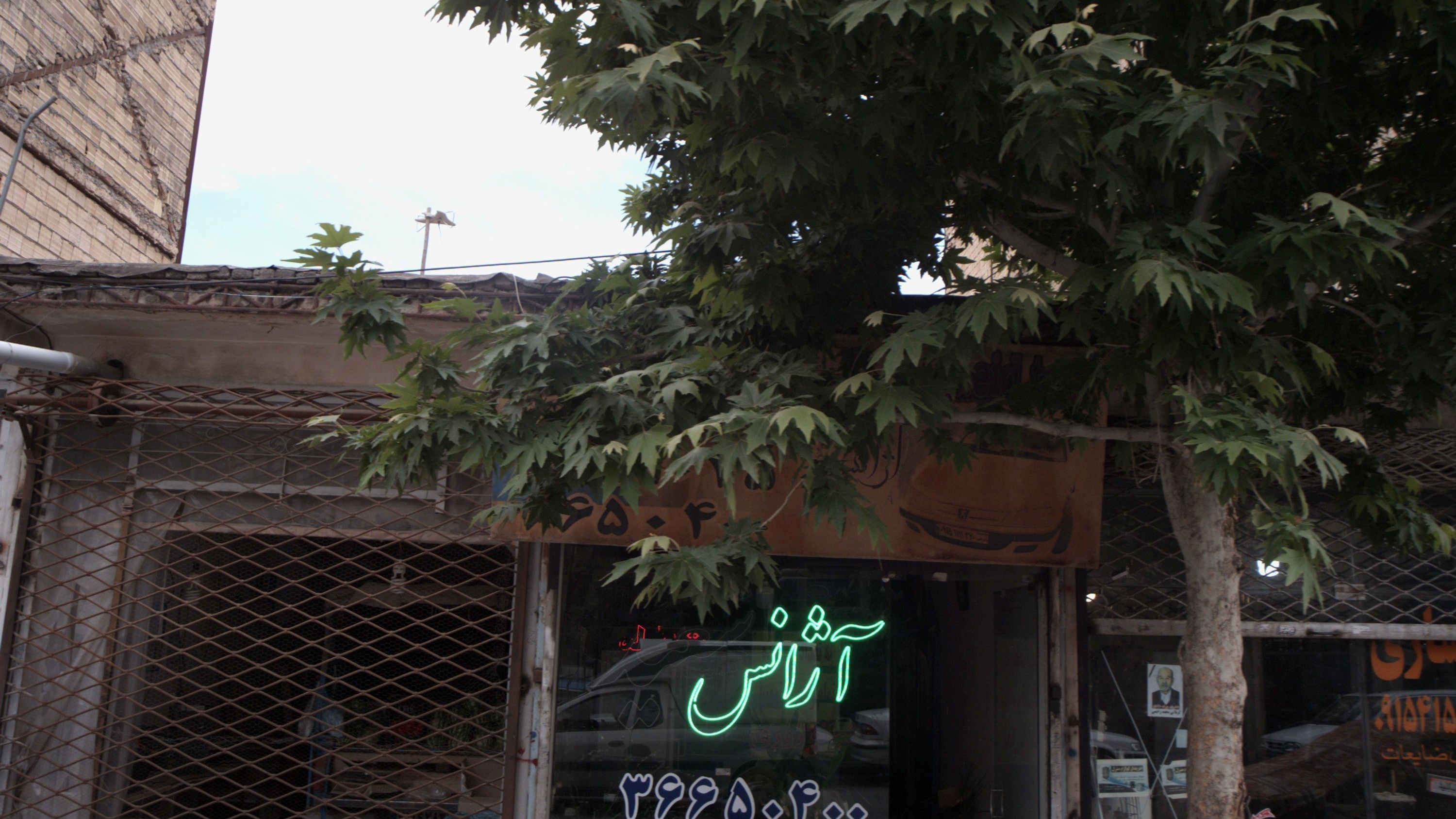 آژانس سعید