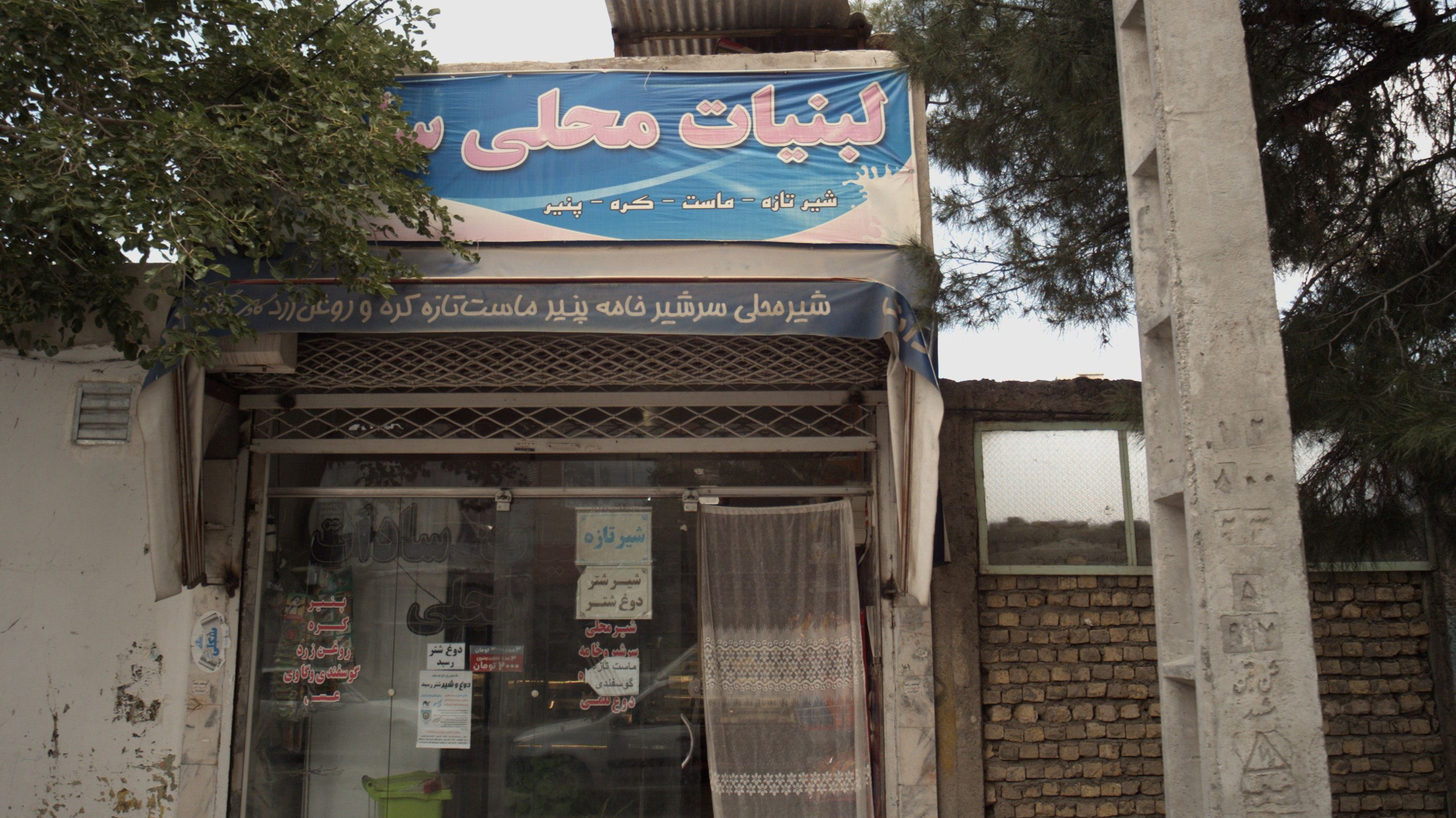 لبنیات محلی سادات