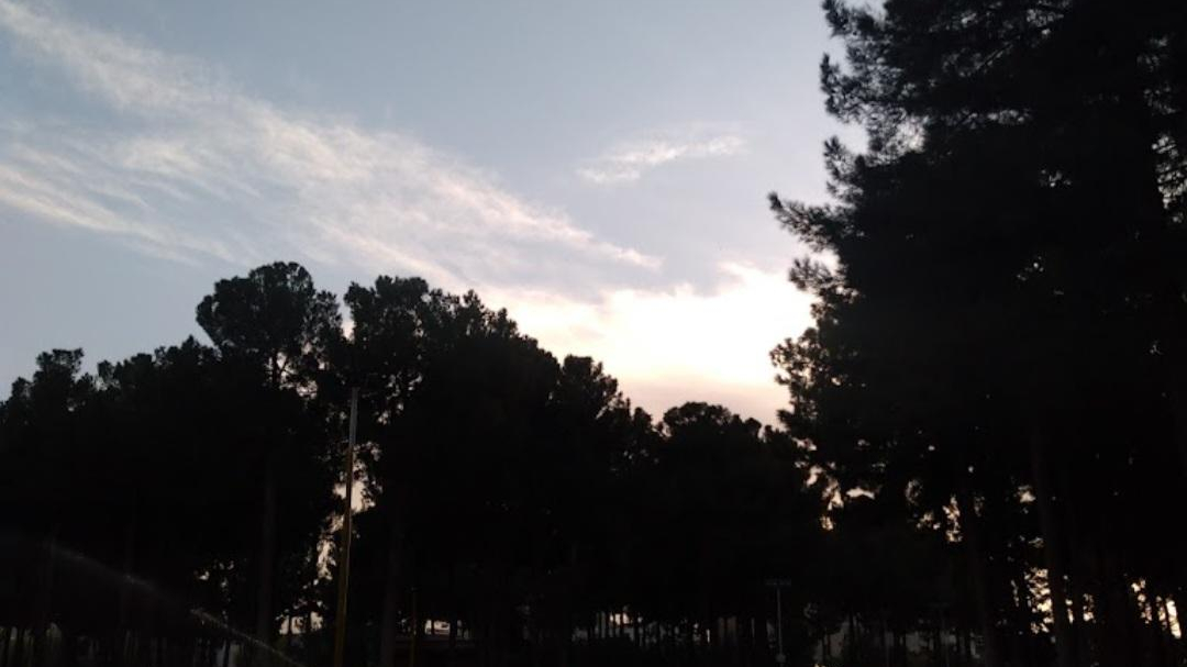 پارک ولیعصر