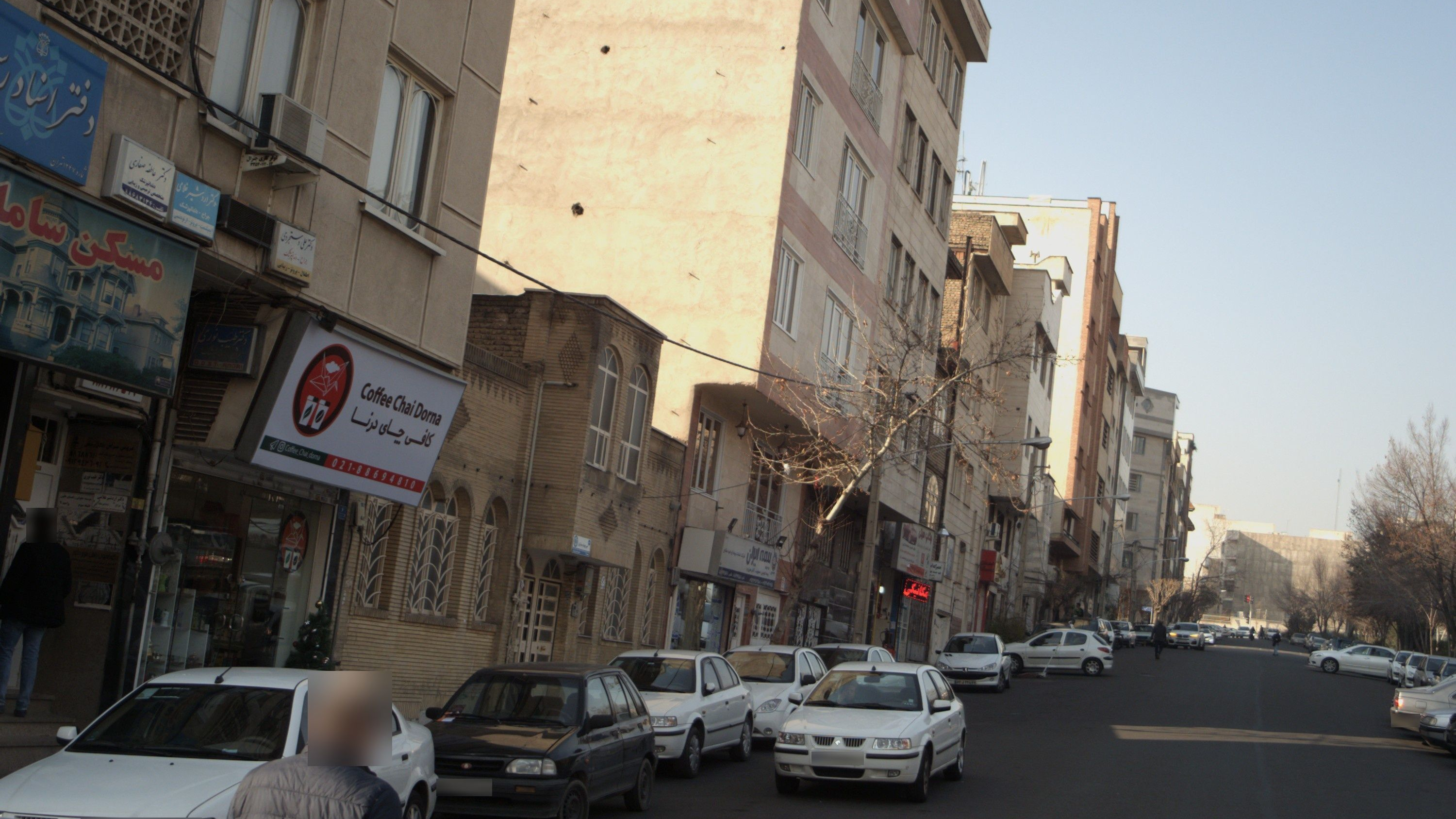 دکتر عاطفه صفاری