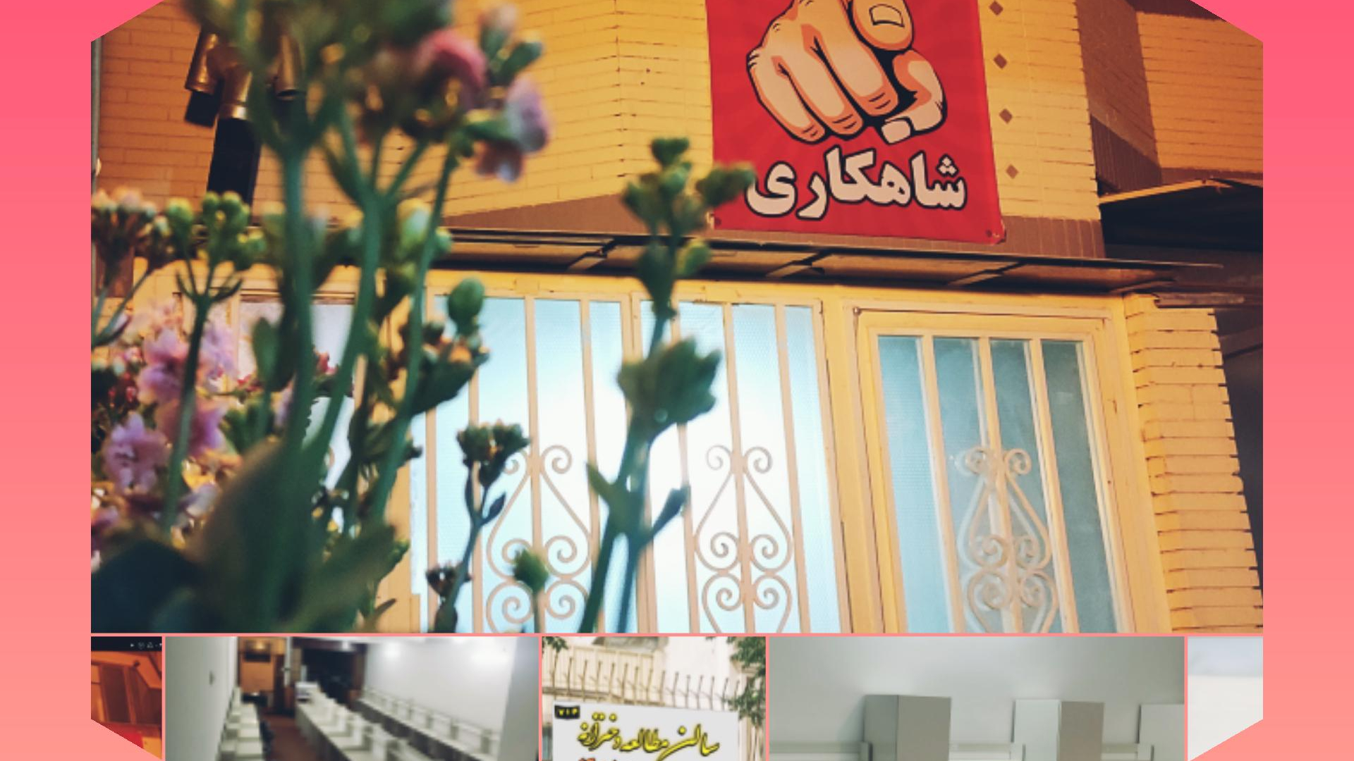 سالن مطالعه شاهکار