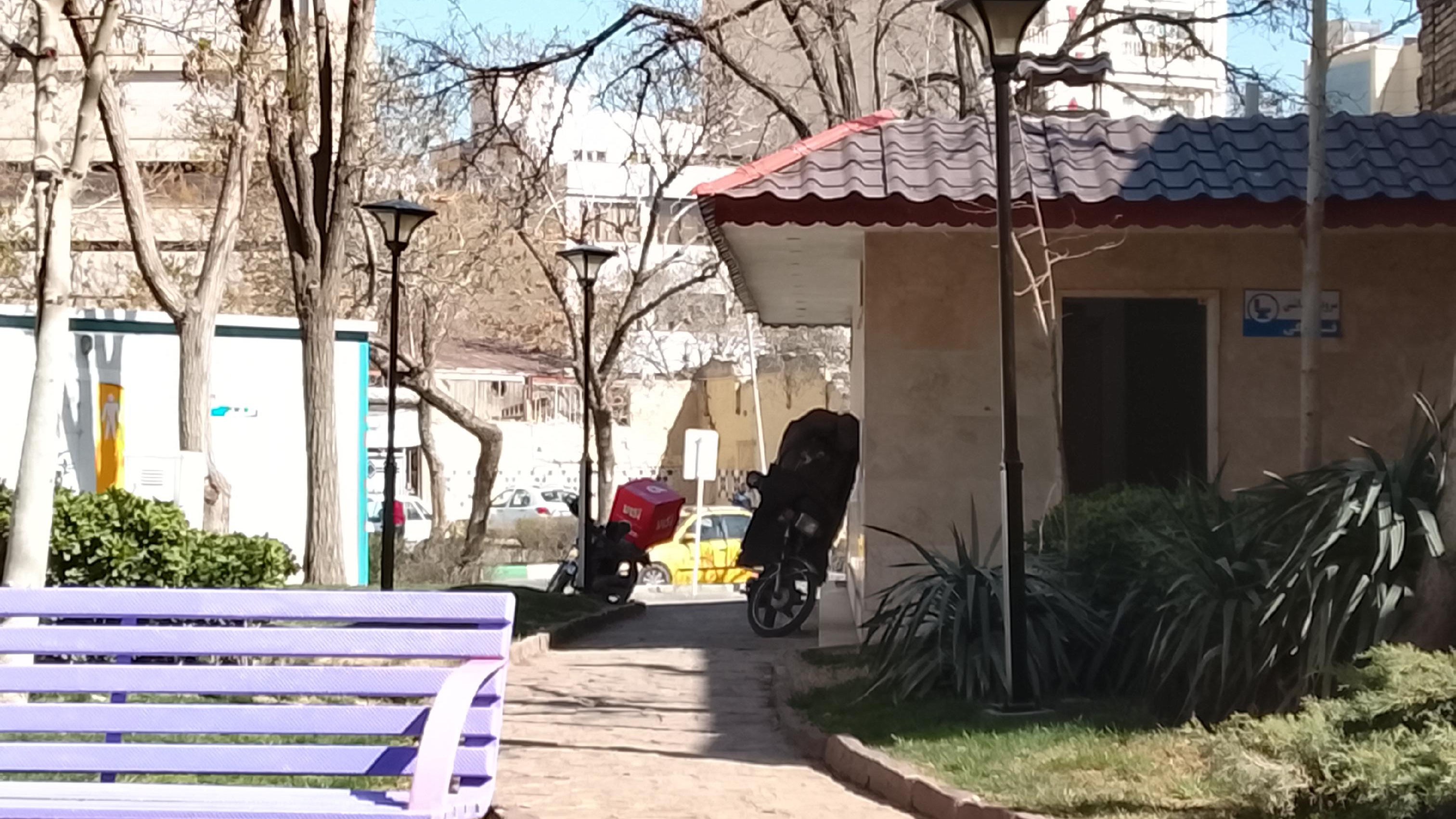 سرویس بهداشتی پارک