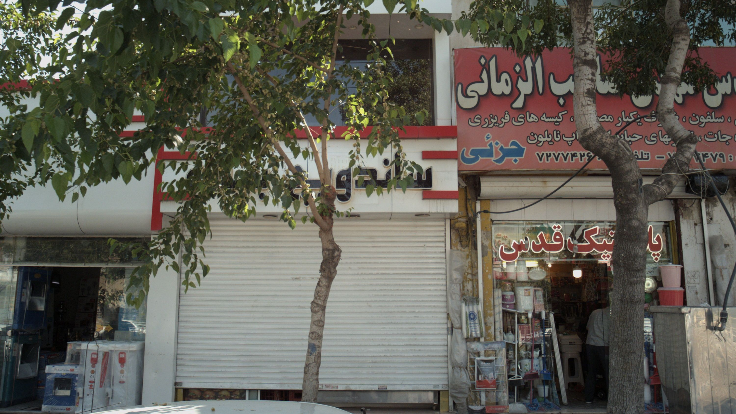 ساندویچ بیشه
