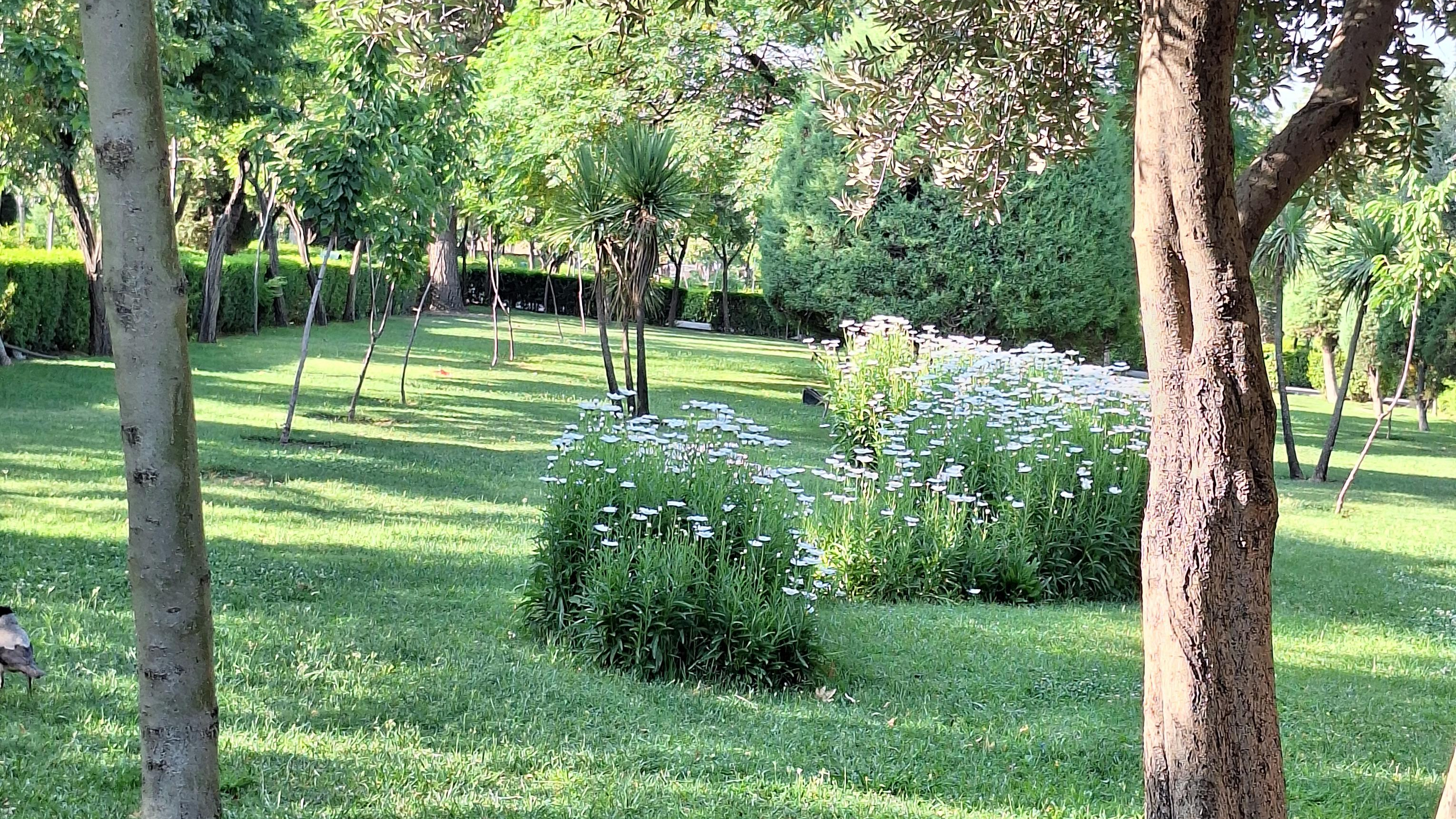 بوستان رازی