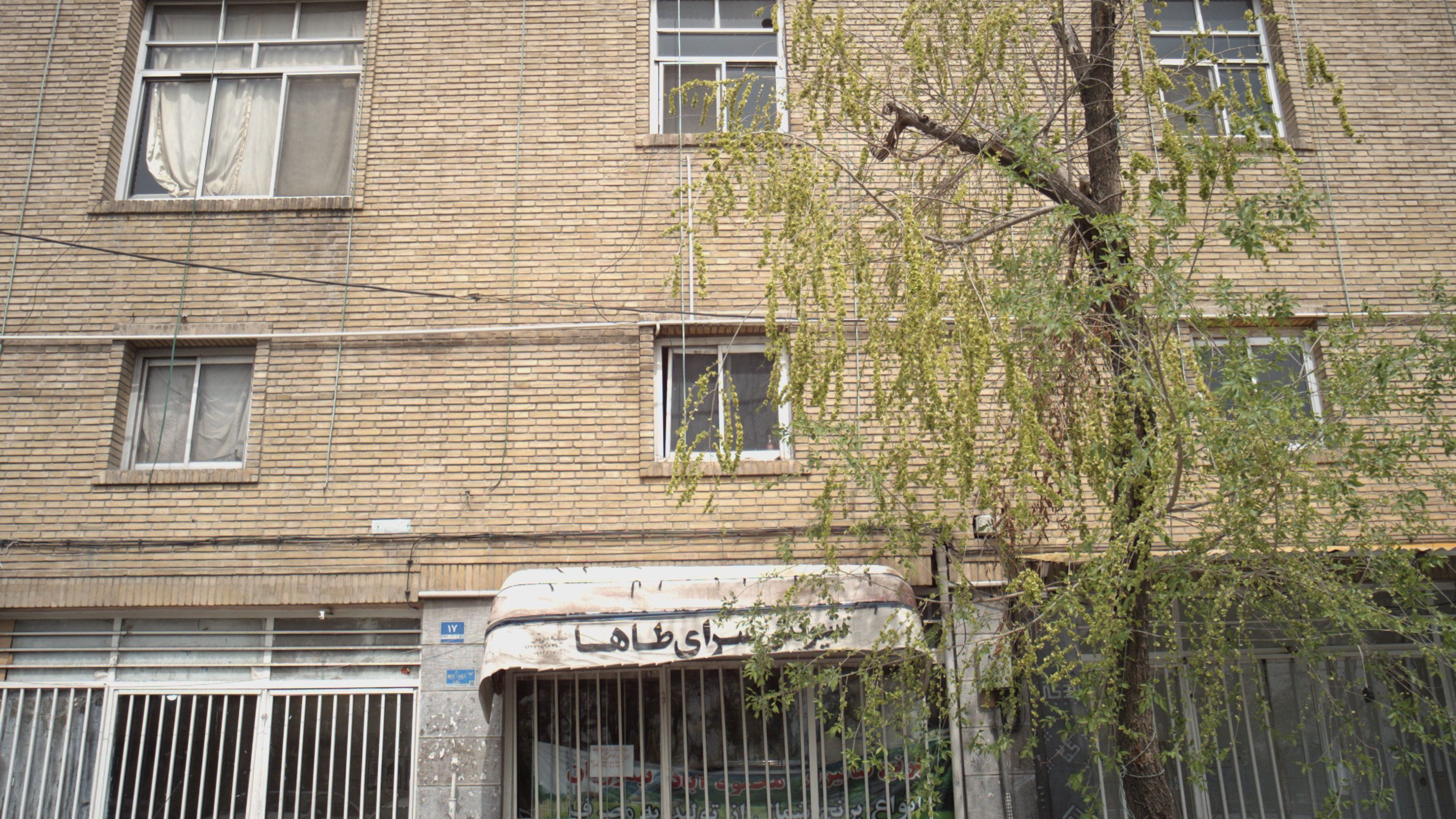 برنج فروشی