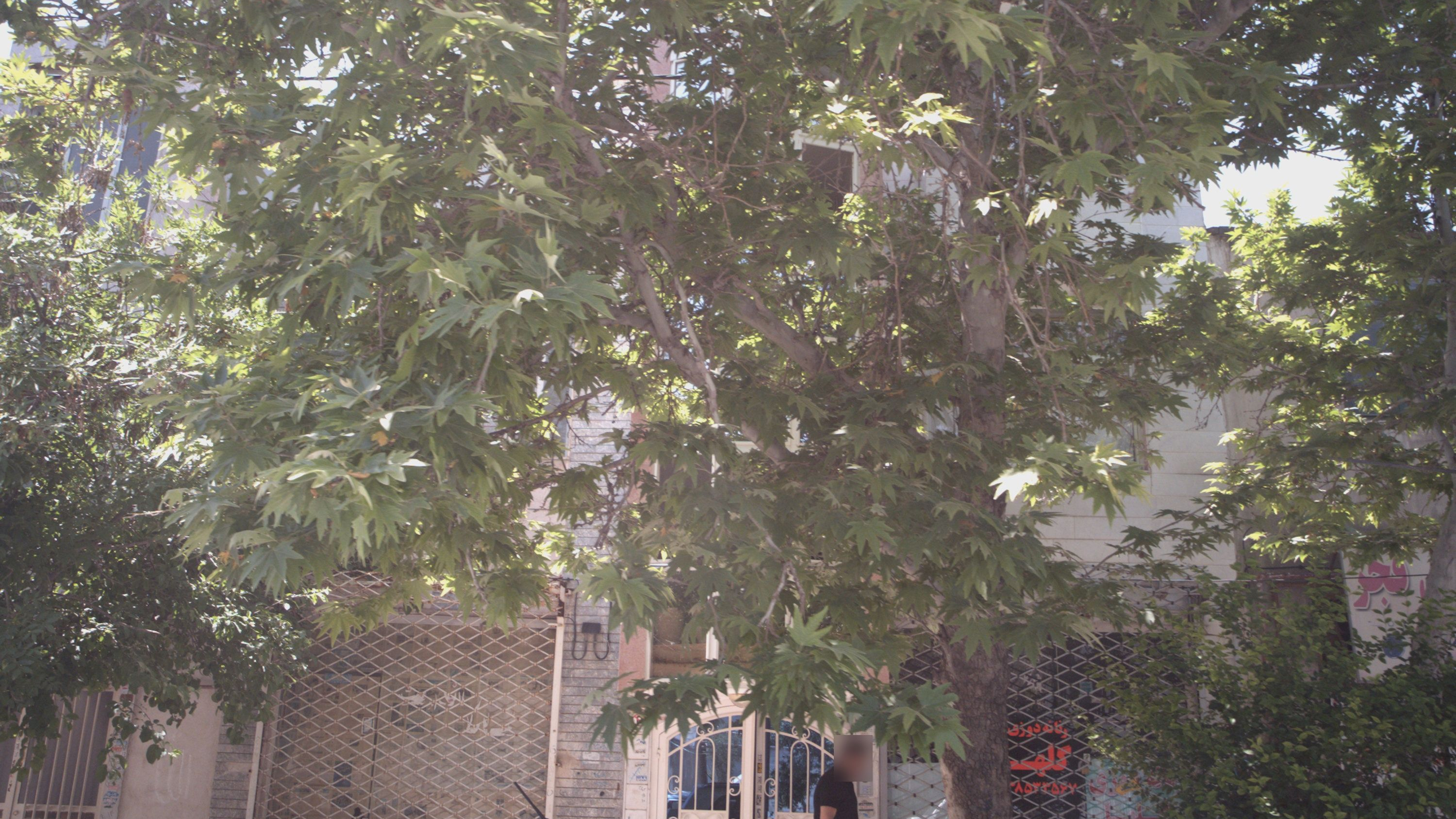 زنانه دوزی گلها
