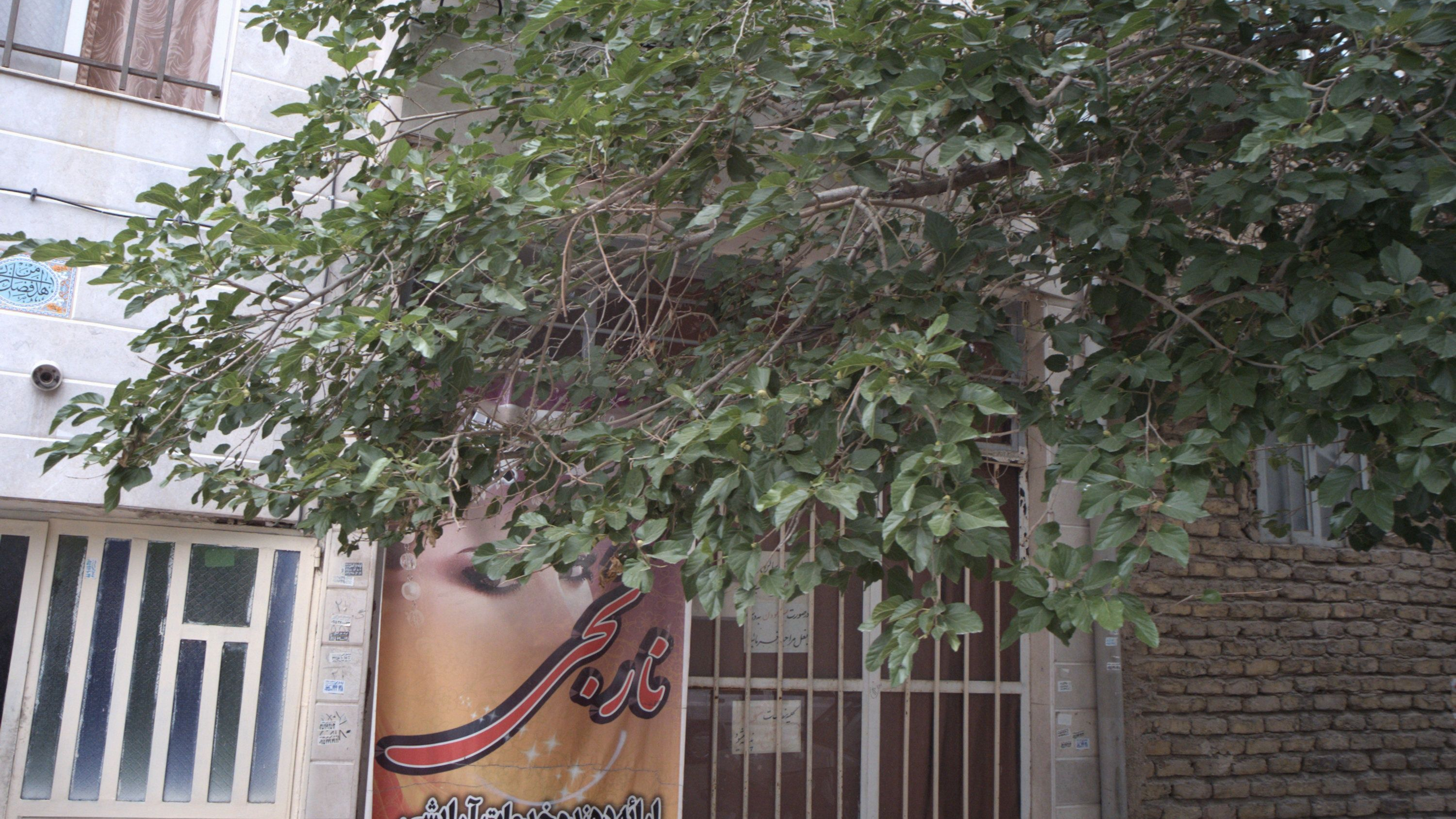 سالن زیبایی نارنجی