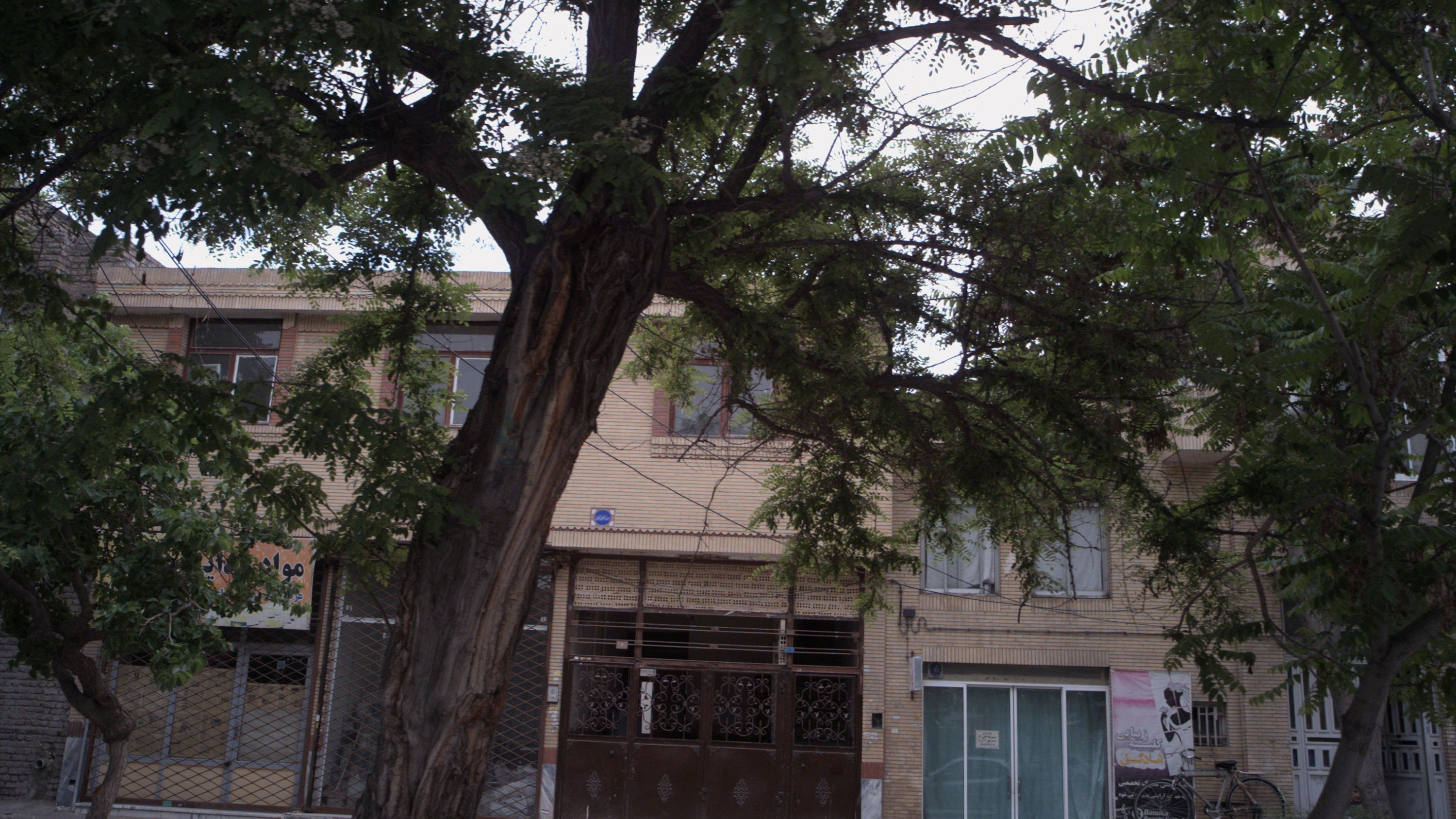 کلبه زیبایی شادگل
