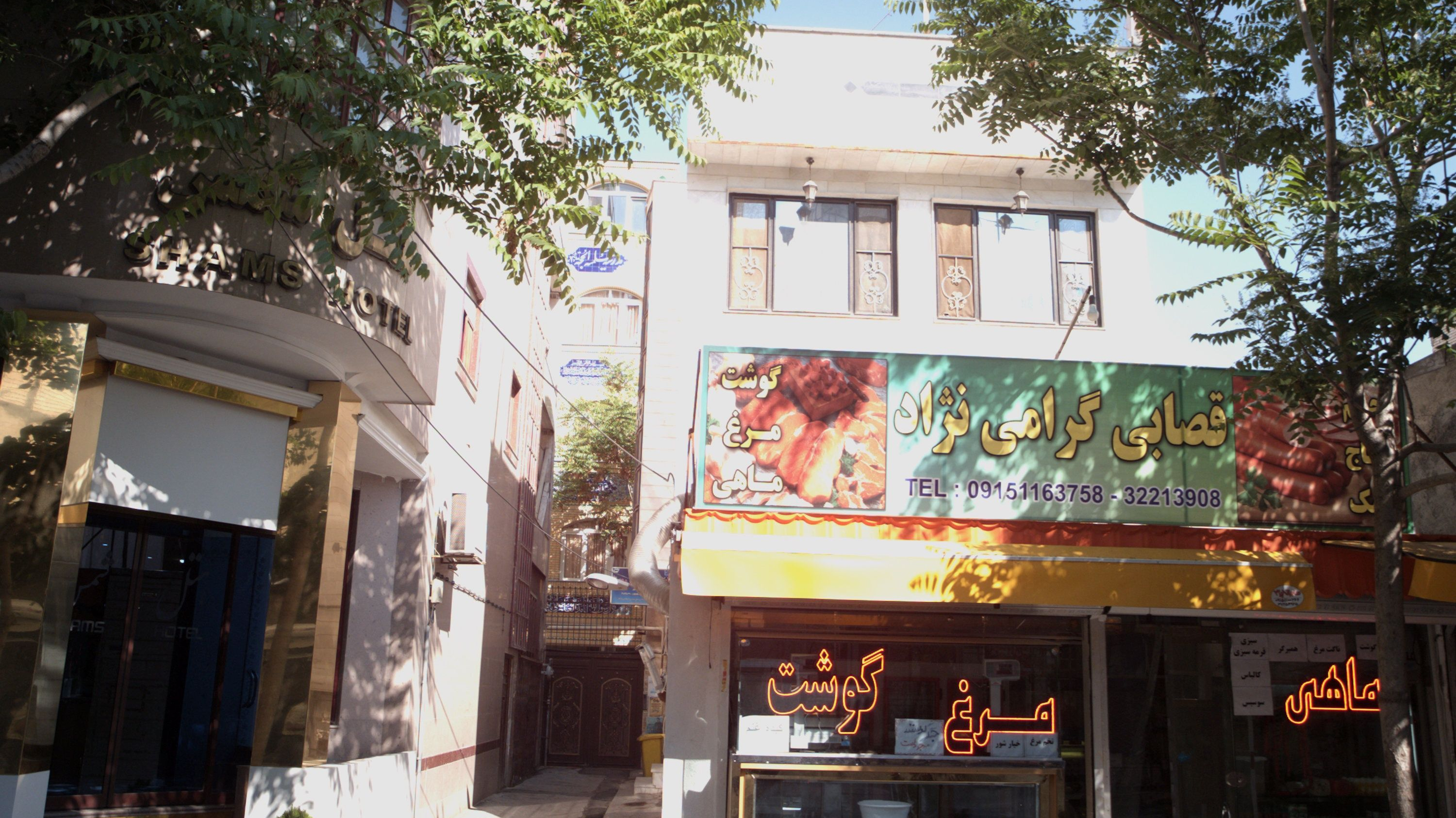 قصابی گرامی نژاد