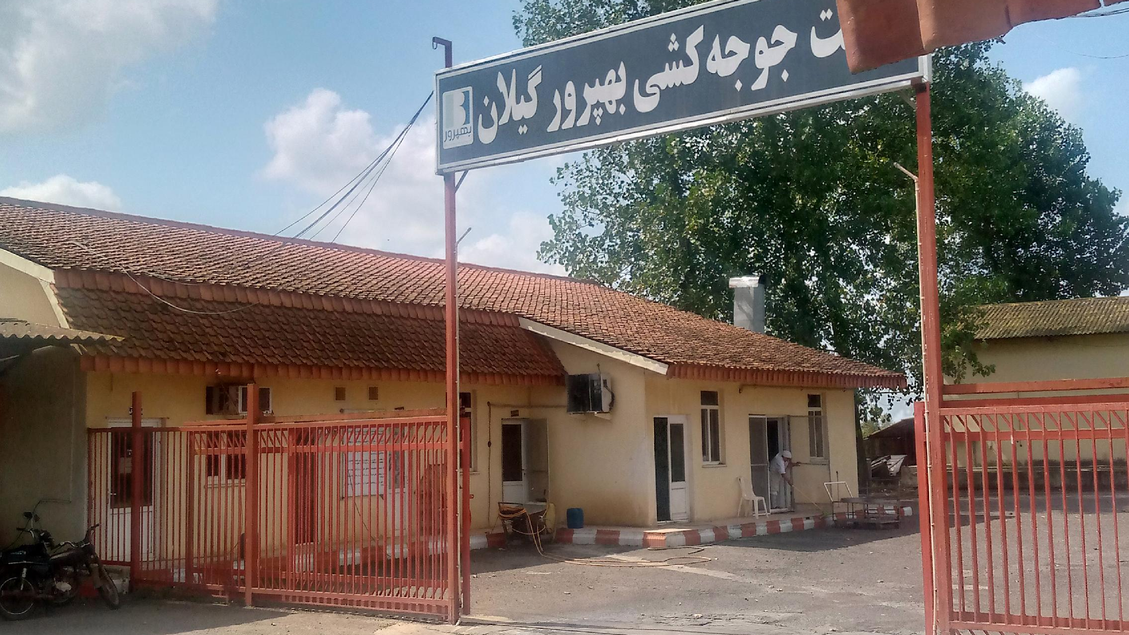 جوجه‌کشی‌ بهپرور