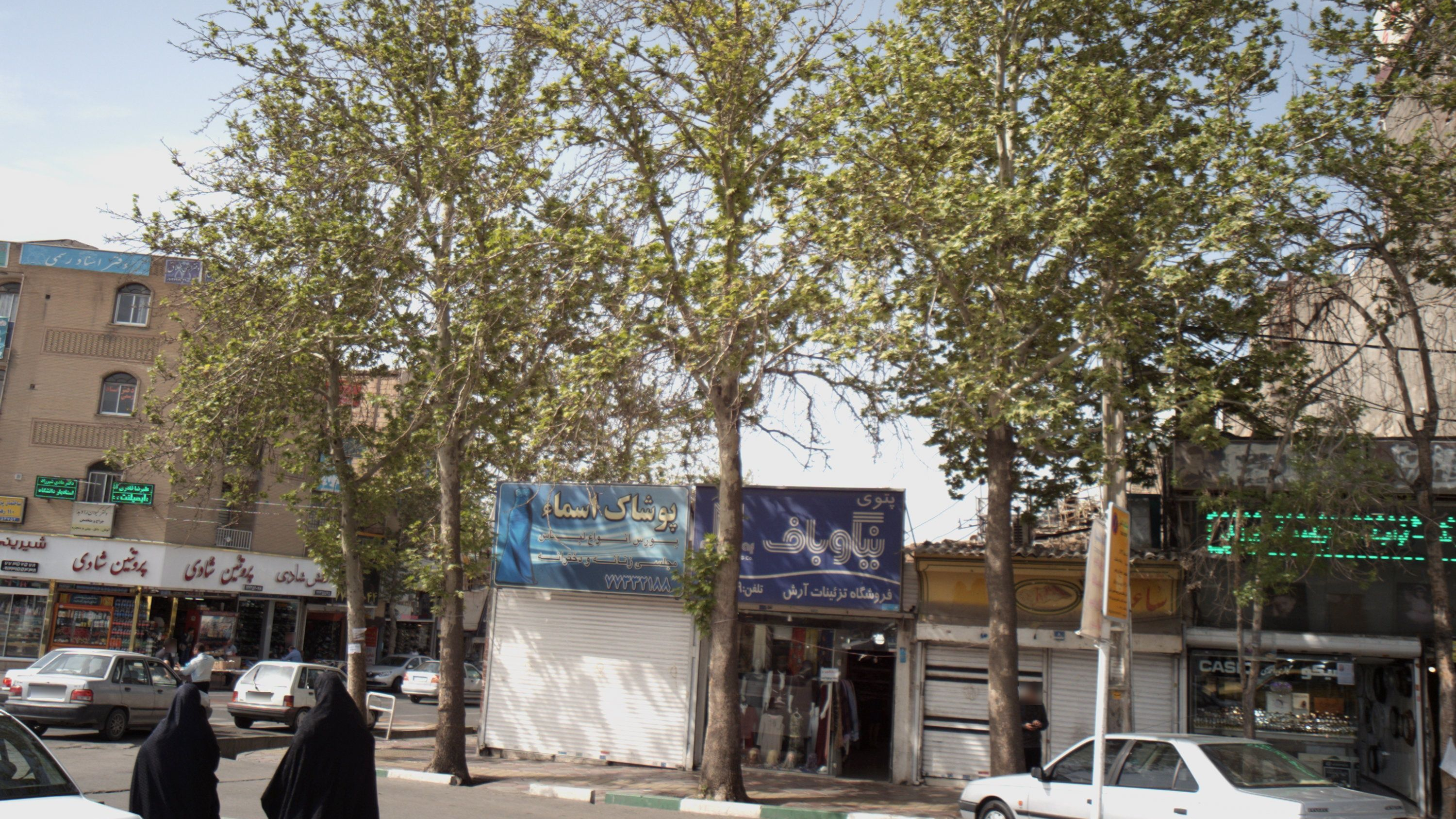 گالری احمدی