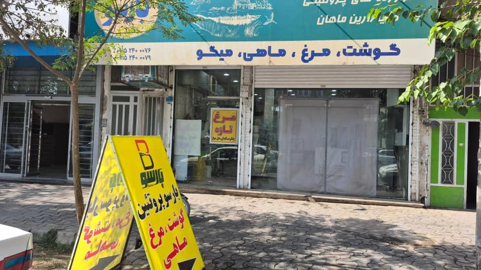 بارسو پروتئین