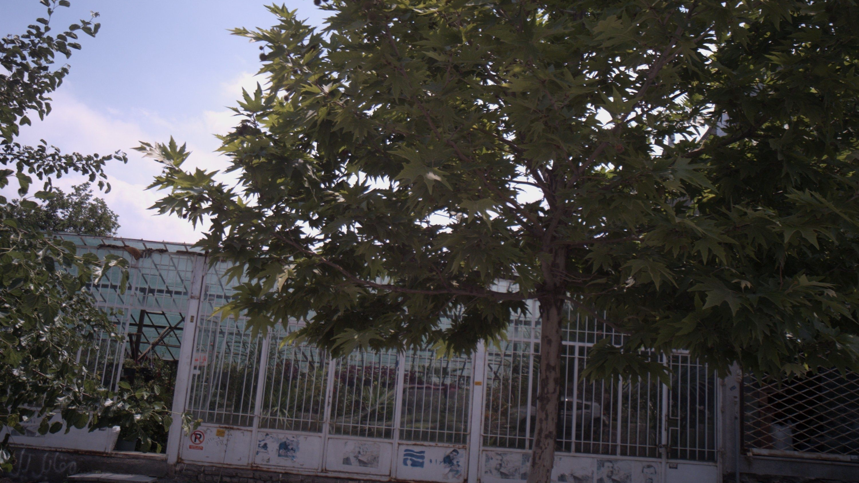 گلخانه