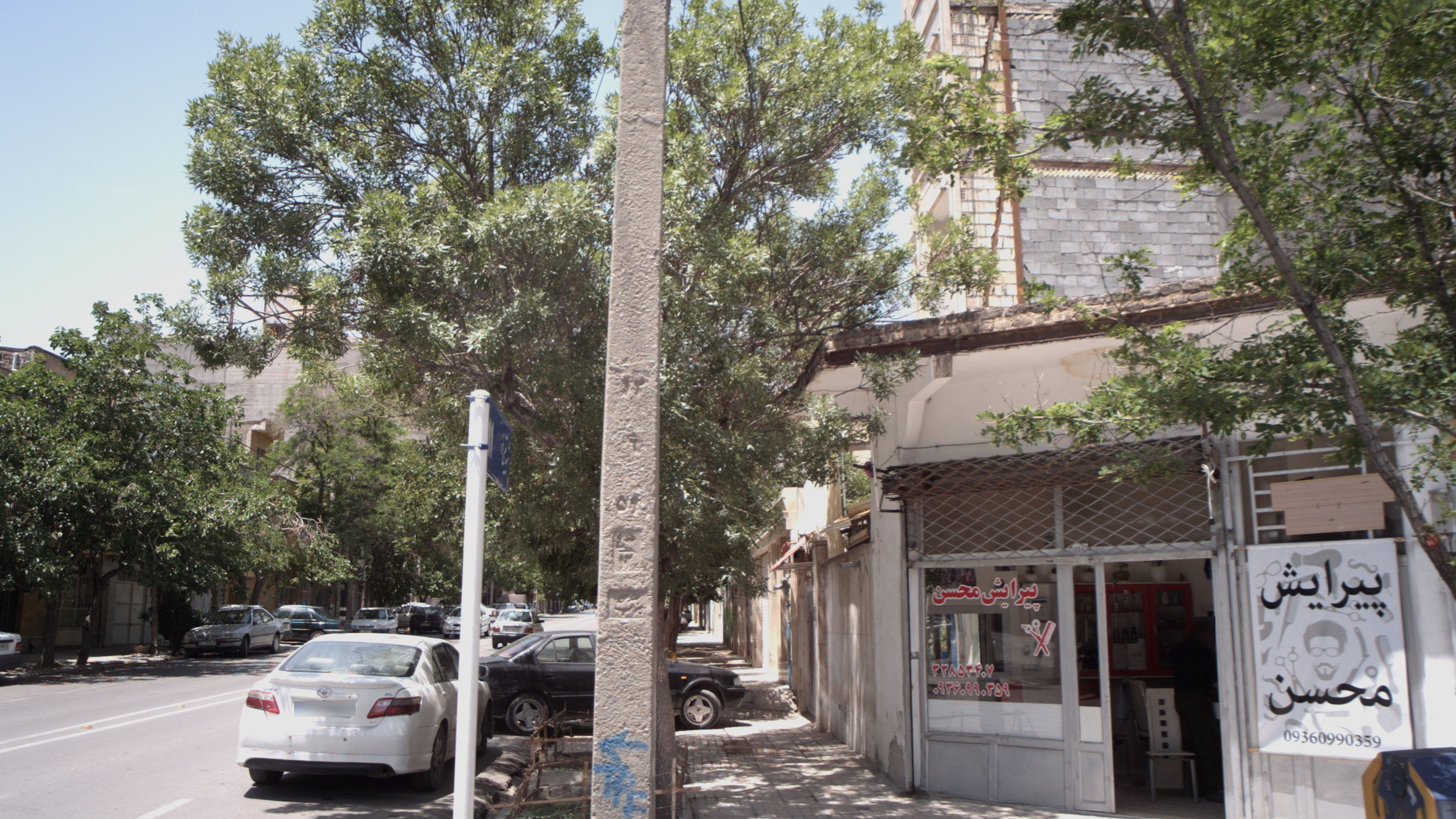 پیرایش محسن
