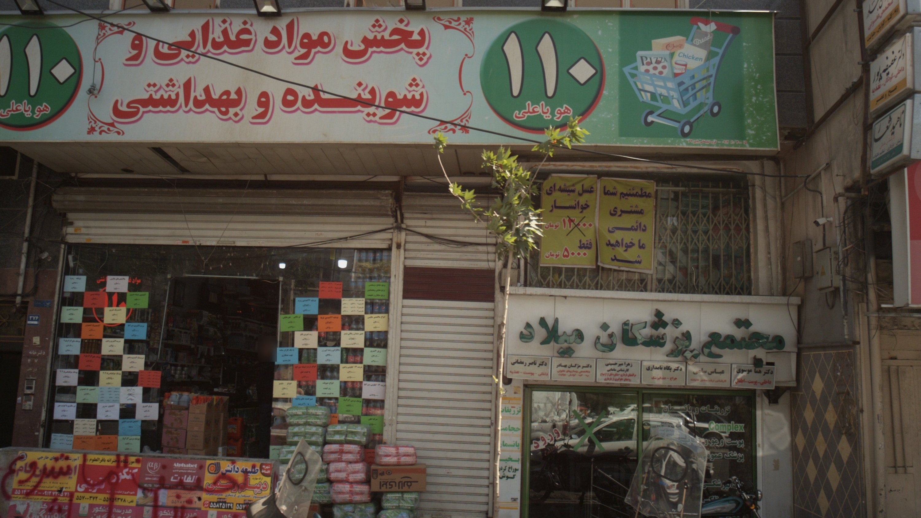 دکتر مژگان بهادر