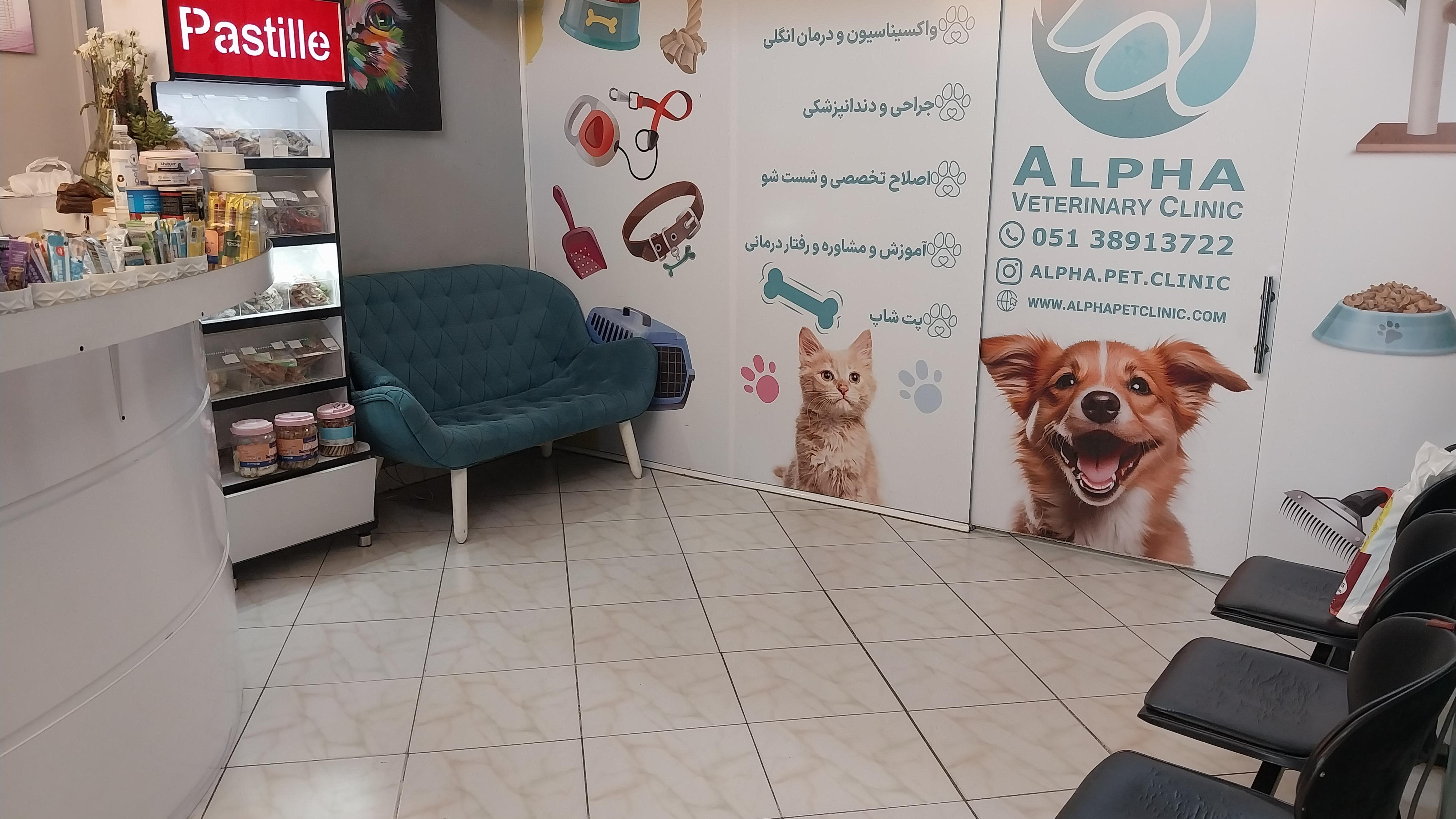 کلینیک دامپزشکی آلفا