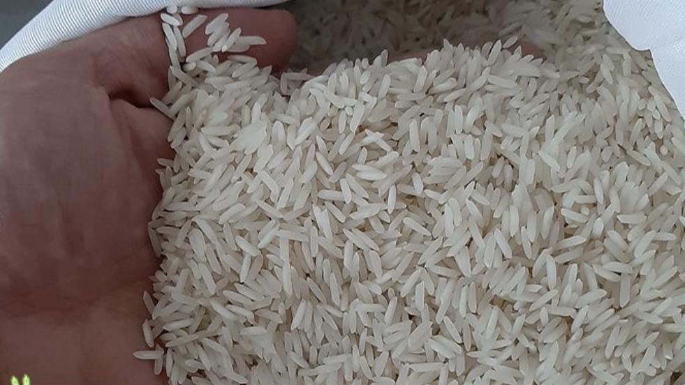 برنج فروشی اصغرپور