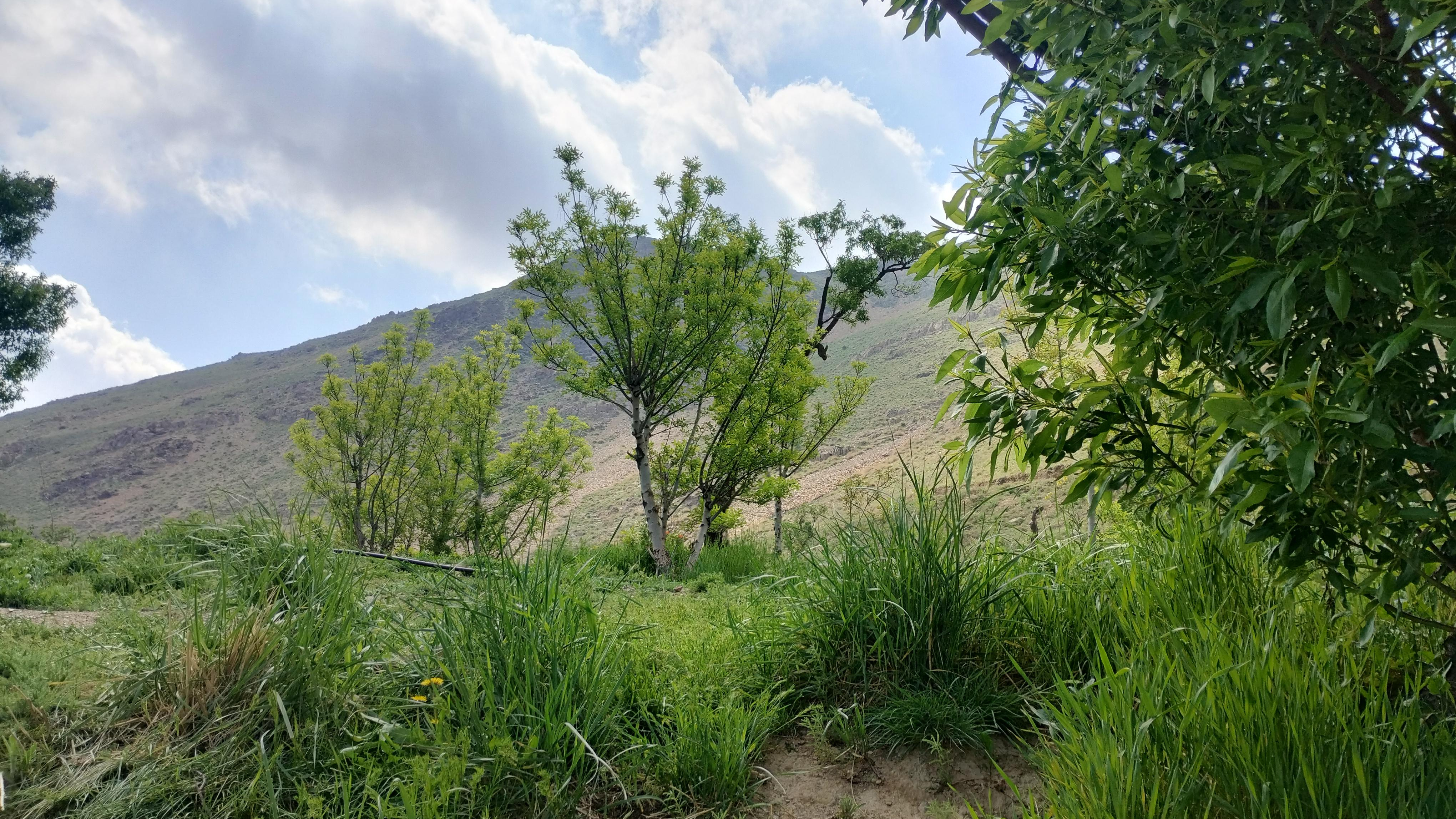 منطقه نمونه گردشگری دره گردو