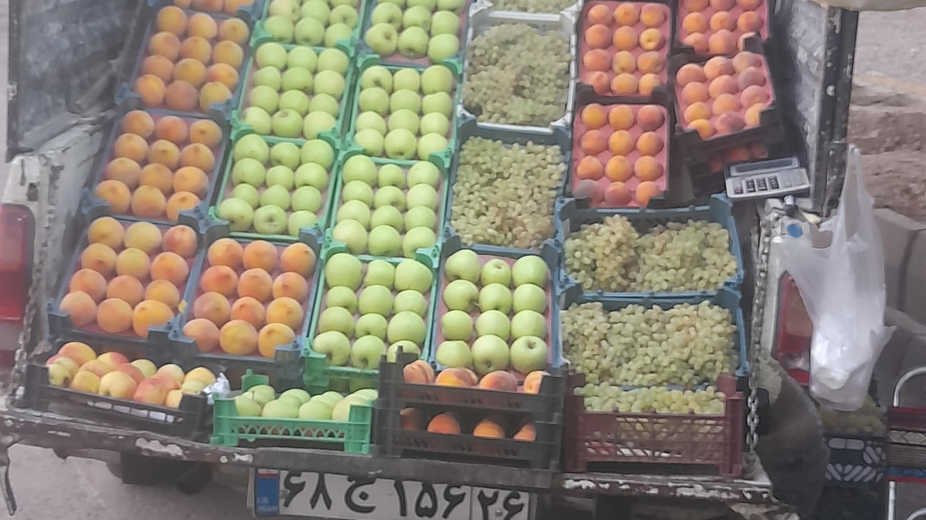 میوه فروشی مجیدمرادی