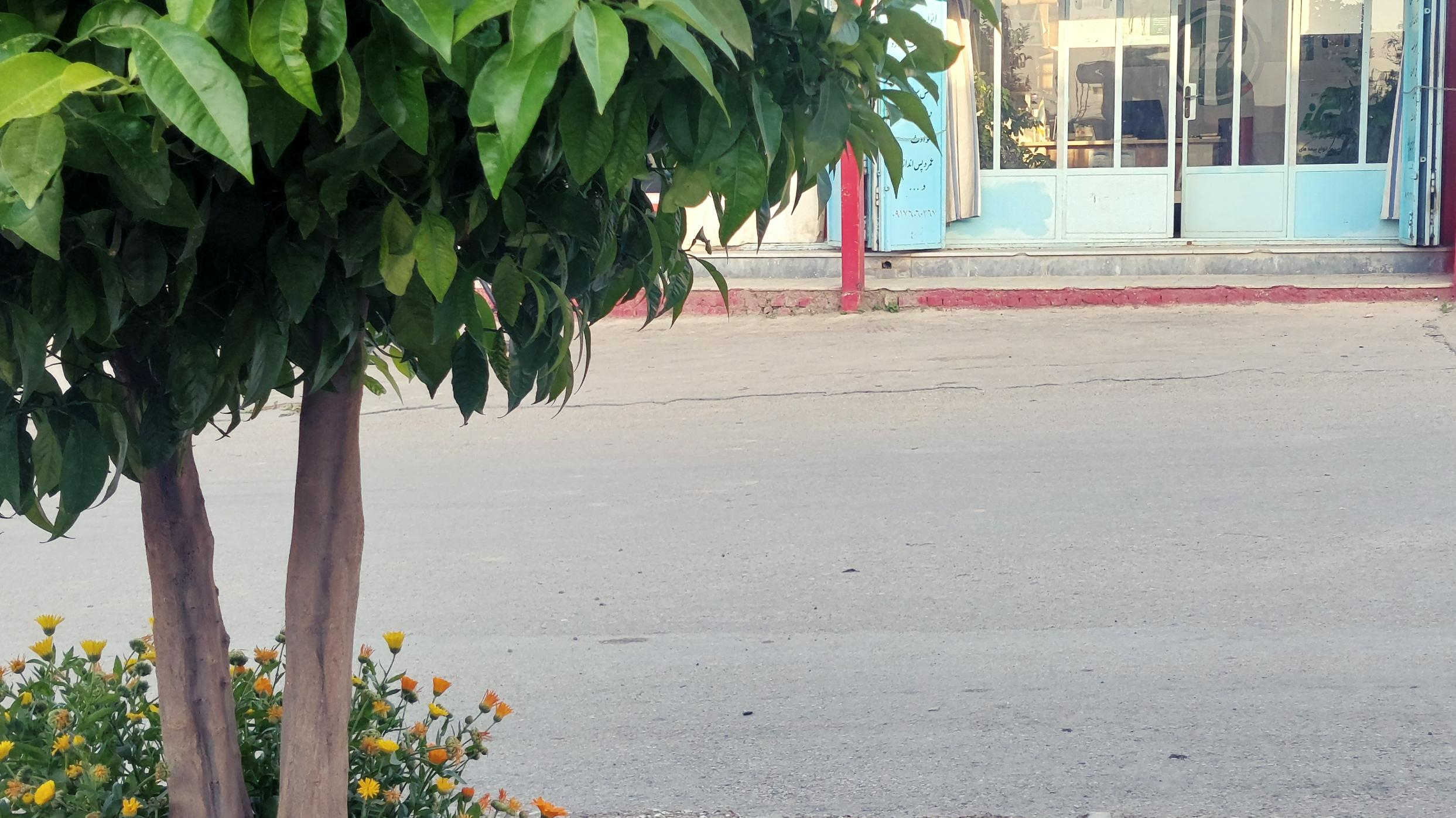 بیمه البرز نمایندگی زارع ۸۱۲۶