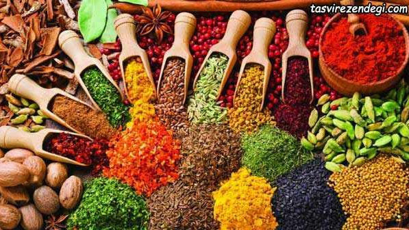 عطاری ارکیده